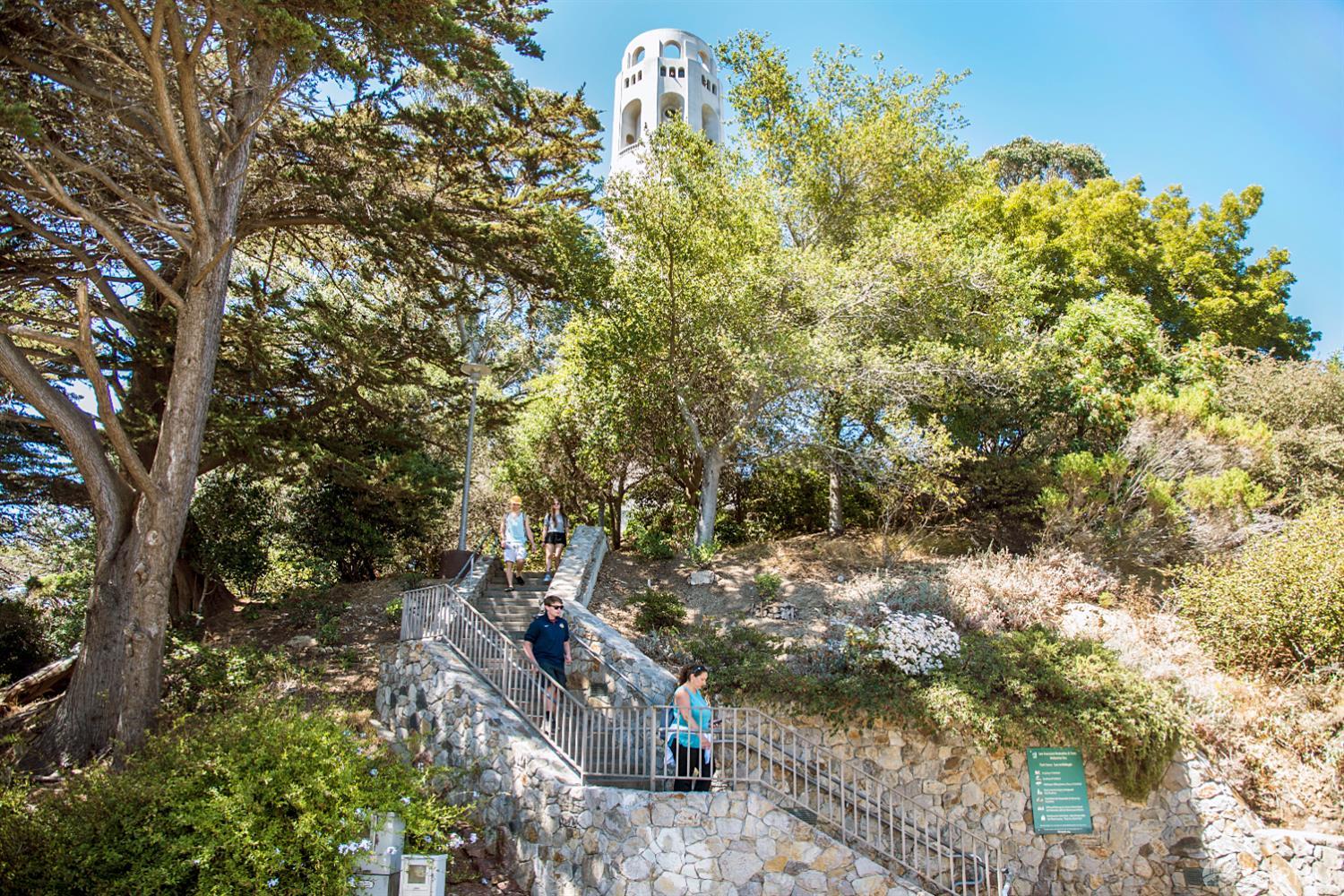 Detail Gallery Image 69 of 77 For 312 Green St, San Francisco,  CA 94122 - 5 Beds | 4/1 Baths