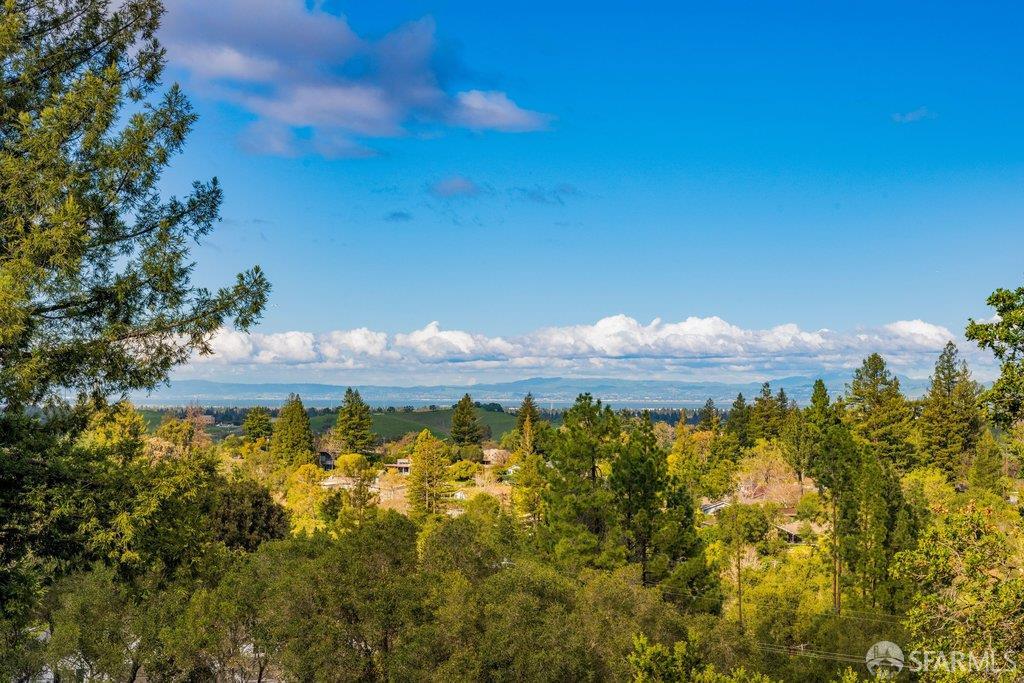 Detail Gallery Image 78 of 98 For 25 Siesta Ct, Portola Valley,  CA 94028 - 5 Beds | 3/1 Baths