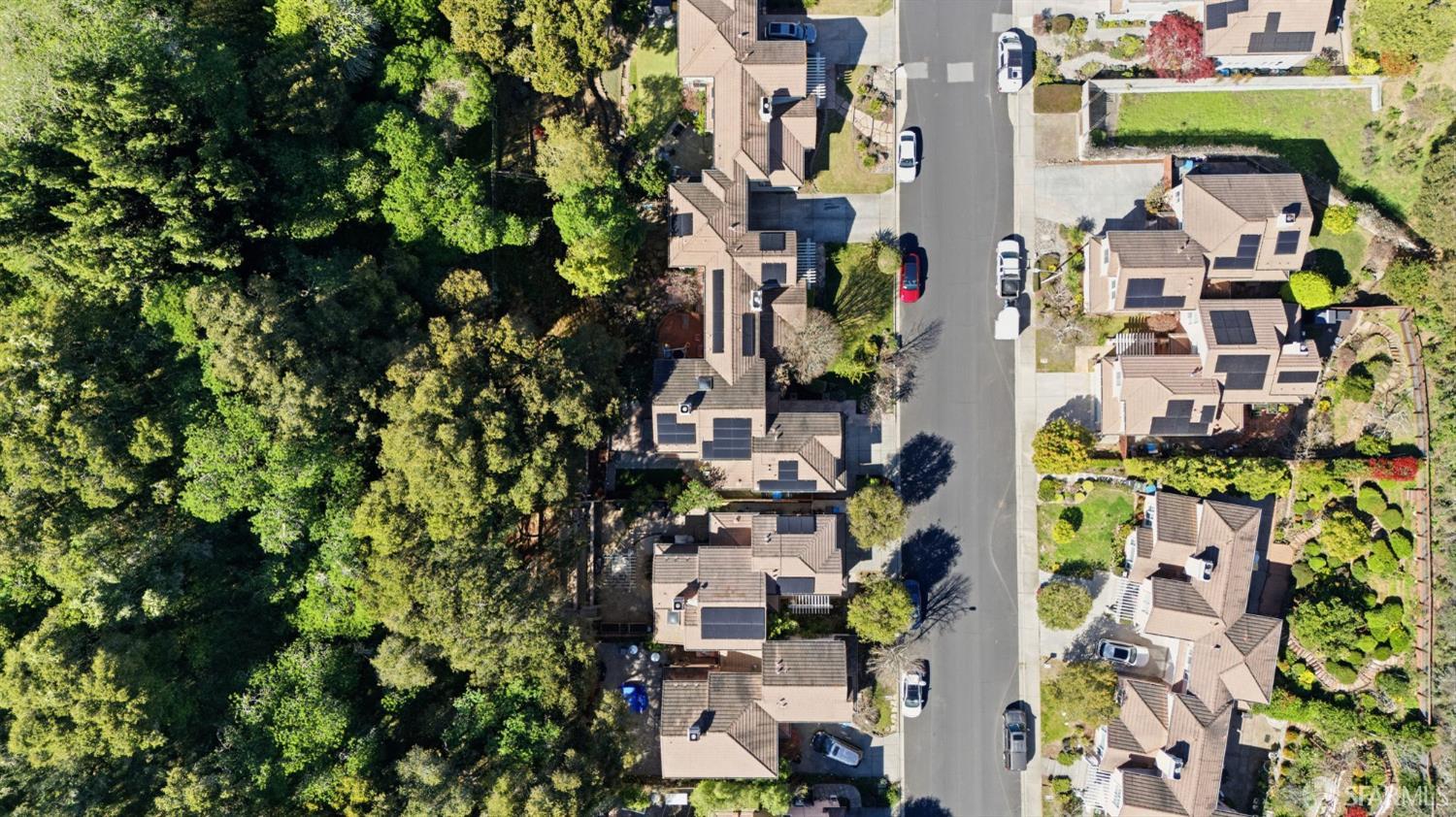 Detail Gallery Image 54 of 62 For 2624 Carlmont Dr, Belmont,  CA 94002 - 3 Beds | 2/1 Baths