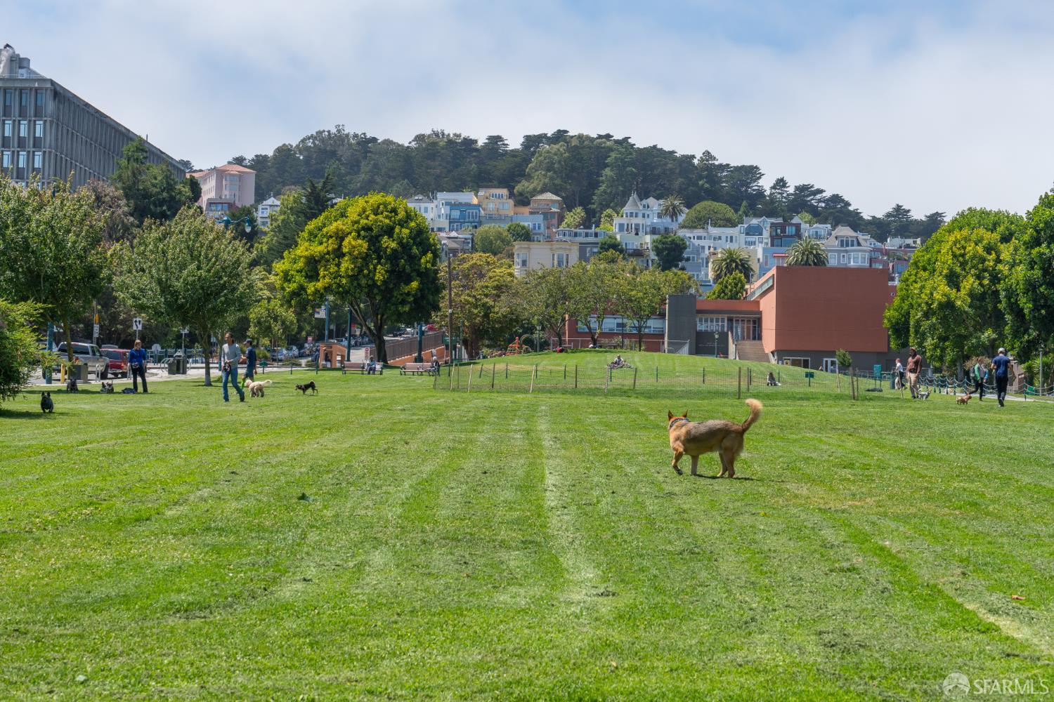 Detail Gallery Image 39 of 44 For 4092 17th St, San Francisco,  CA 94114 - 1 Beds | 1 Baths
