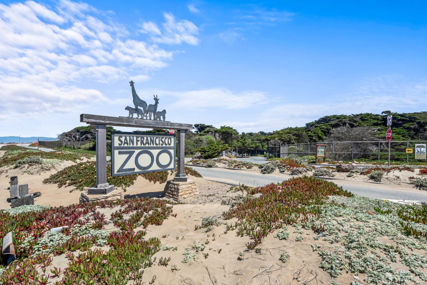 Detail Gallery Image 86 of 89 For 1575 43rd Ave, San Francisco,  CA 94122 - 3 Beds | 3 Baths