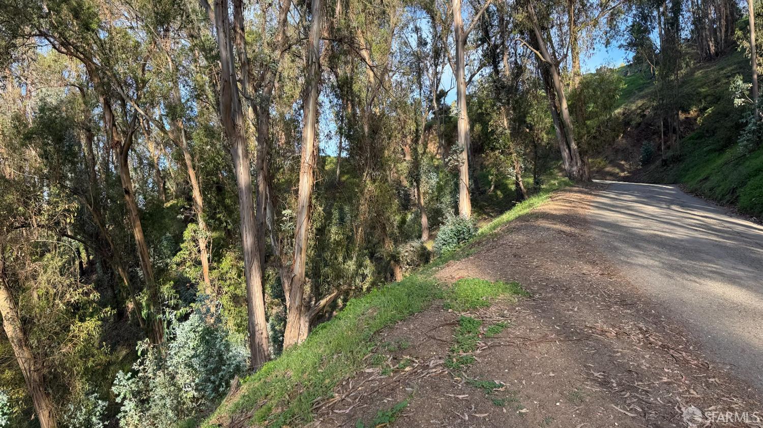 Detail Gallery Image 3 of 5 For 0 Thorndale Dr, Oakland,  CA 94603 - – Beds | – Baths