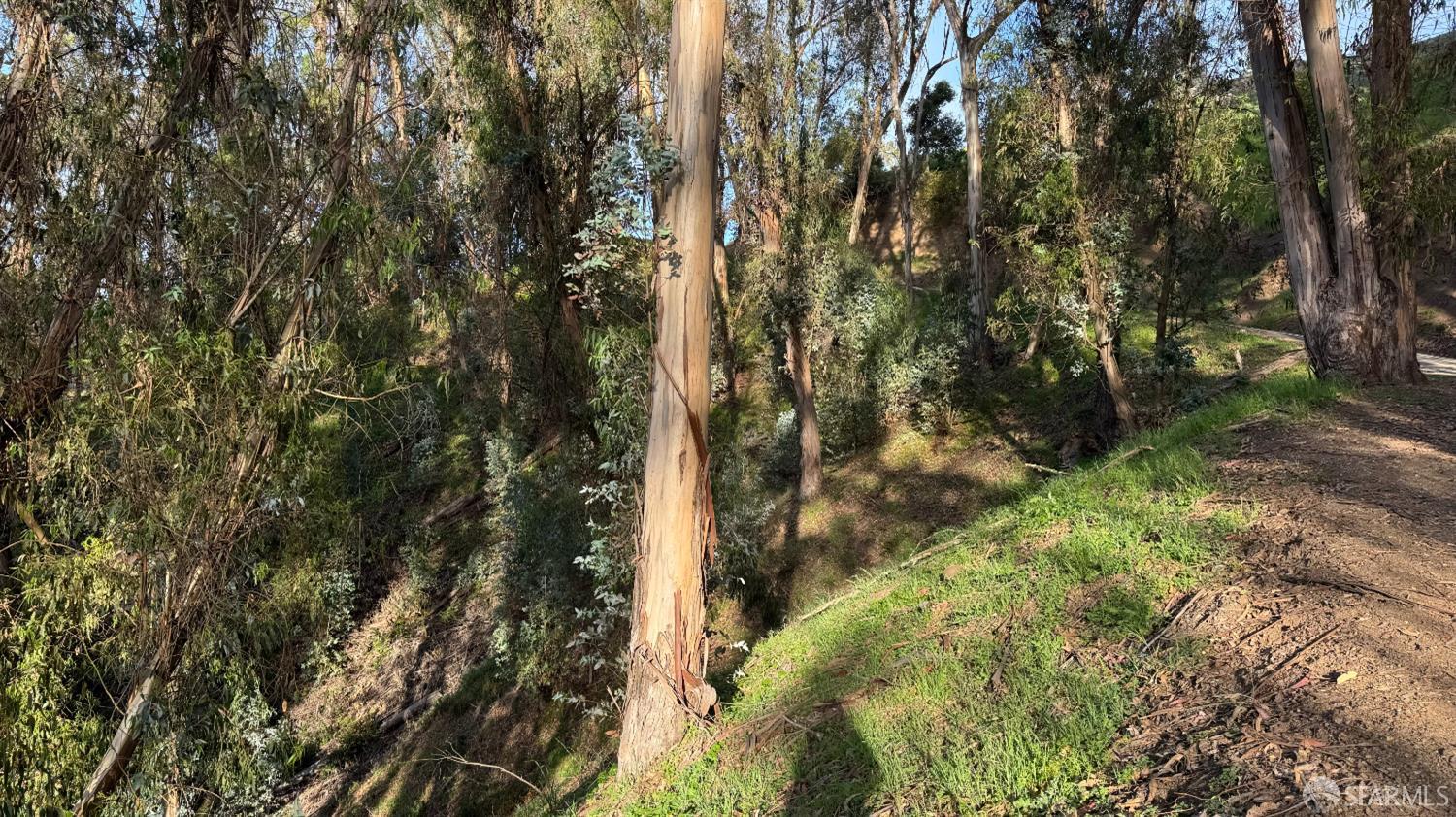 Detail Gallery Image 5 of 5 For 0 Thorndale Dr, Oakland,  CA 94603 - – Beds | – Baths