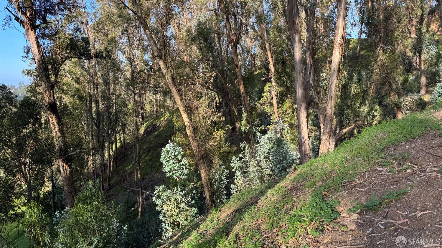 Detail Gallery Image 4 of 5 For 0 Thorndale Dr, Oakland,  CA 94603 - – Beds | – Baths