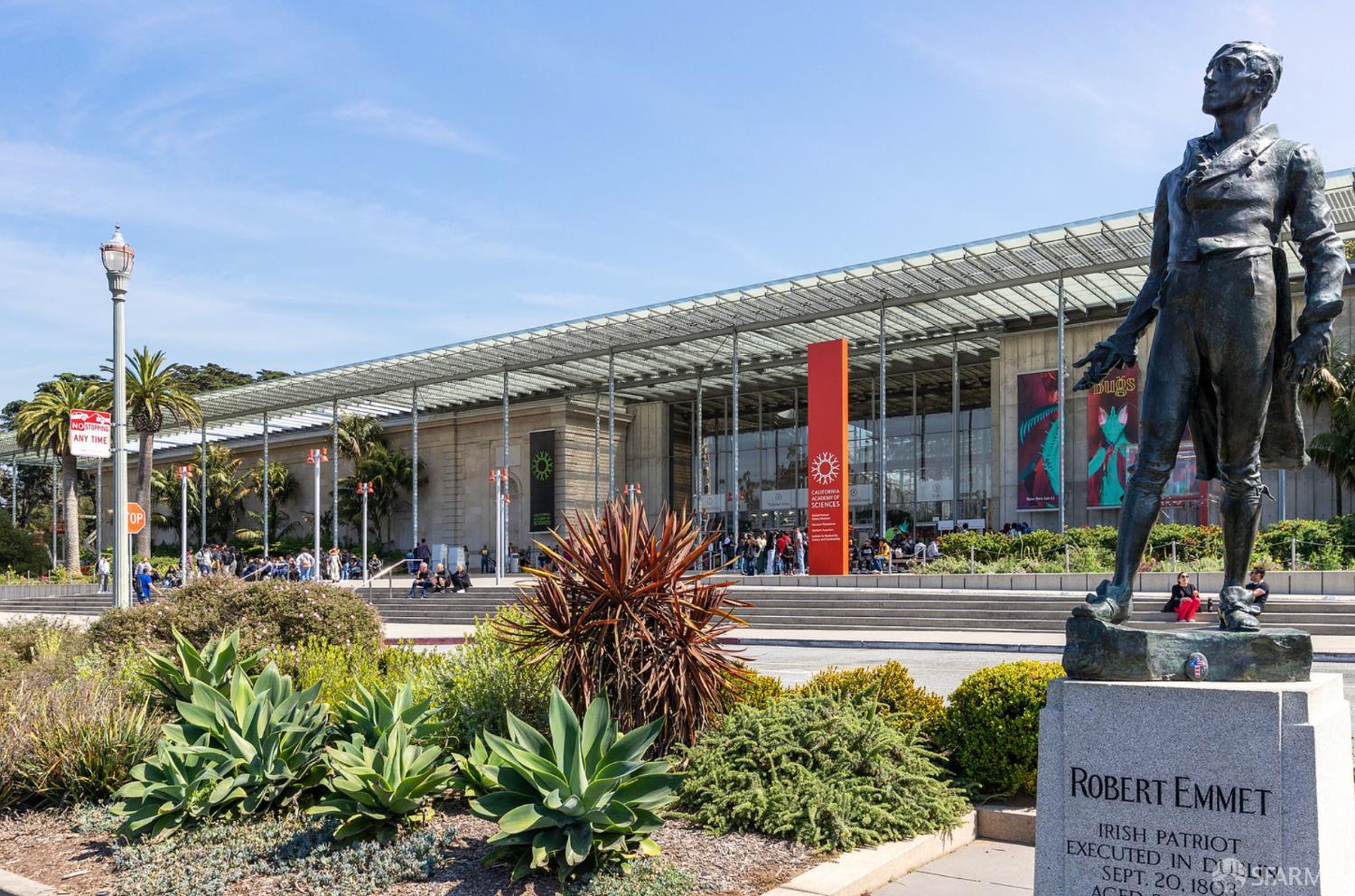 Detail Gallery Image 79 of 84 For 931 Kirkham St, San Francisco,  CA 94122 - 3 Beds | 3 Baths