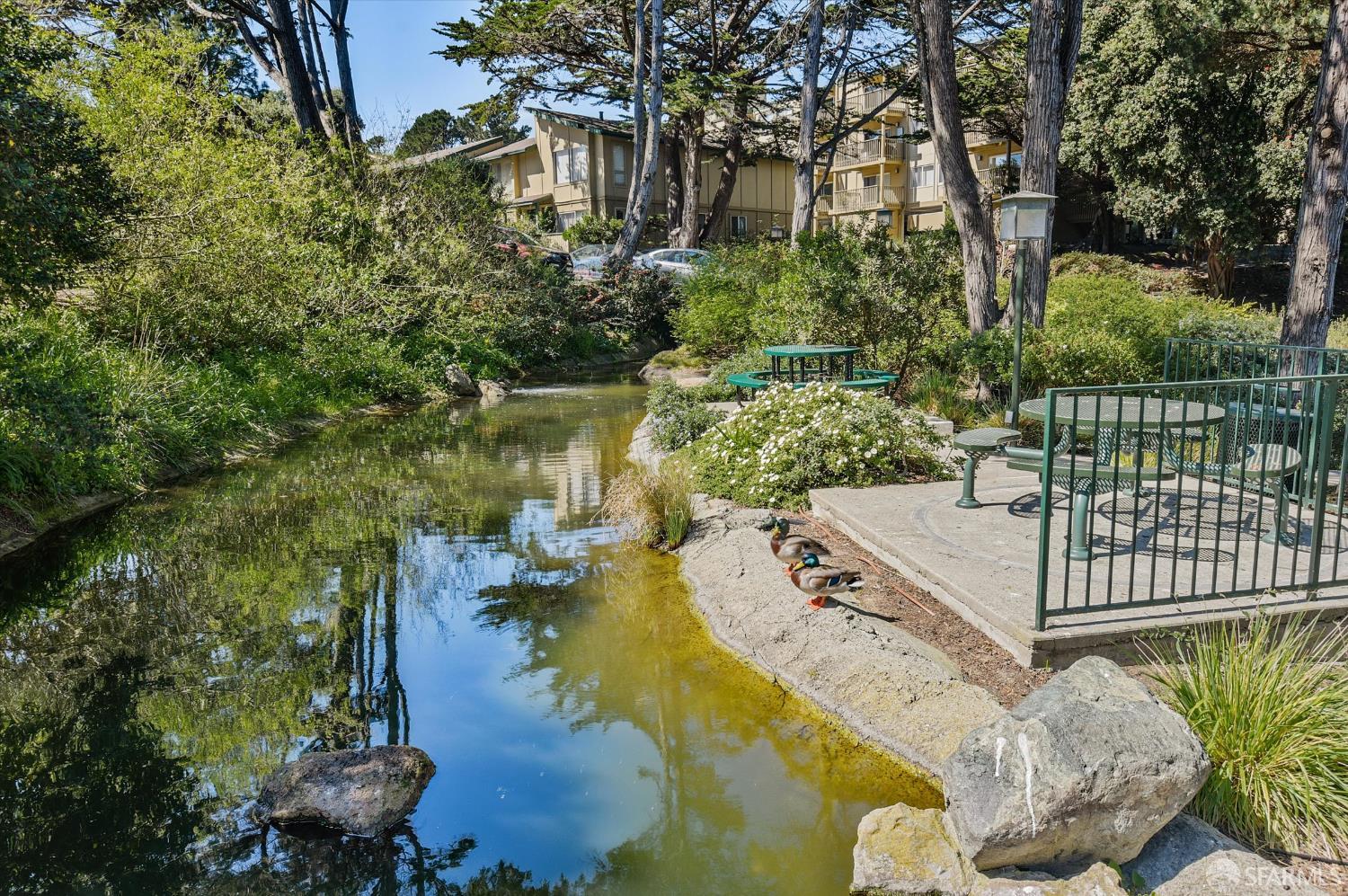 Detail Gallery Image 24 of 44 For 377 Mandarin Dr #105,  Daly City,  CA 94015 - 1 Beds | 1 Baths