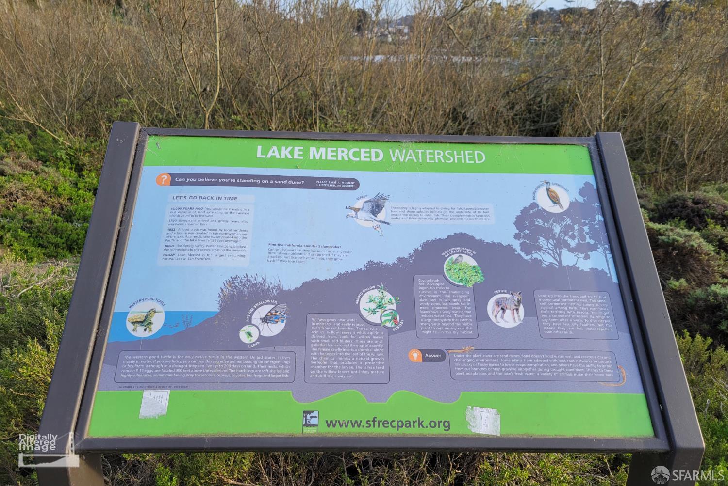 Photo #52: 426107196 Listing: Photo #52