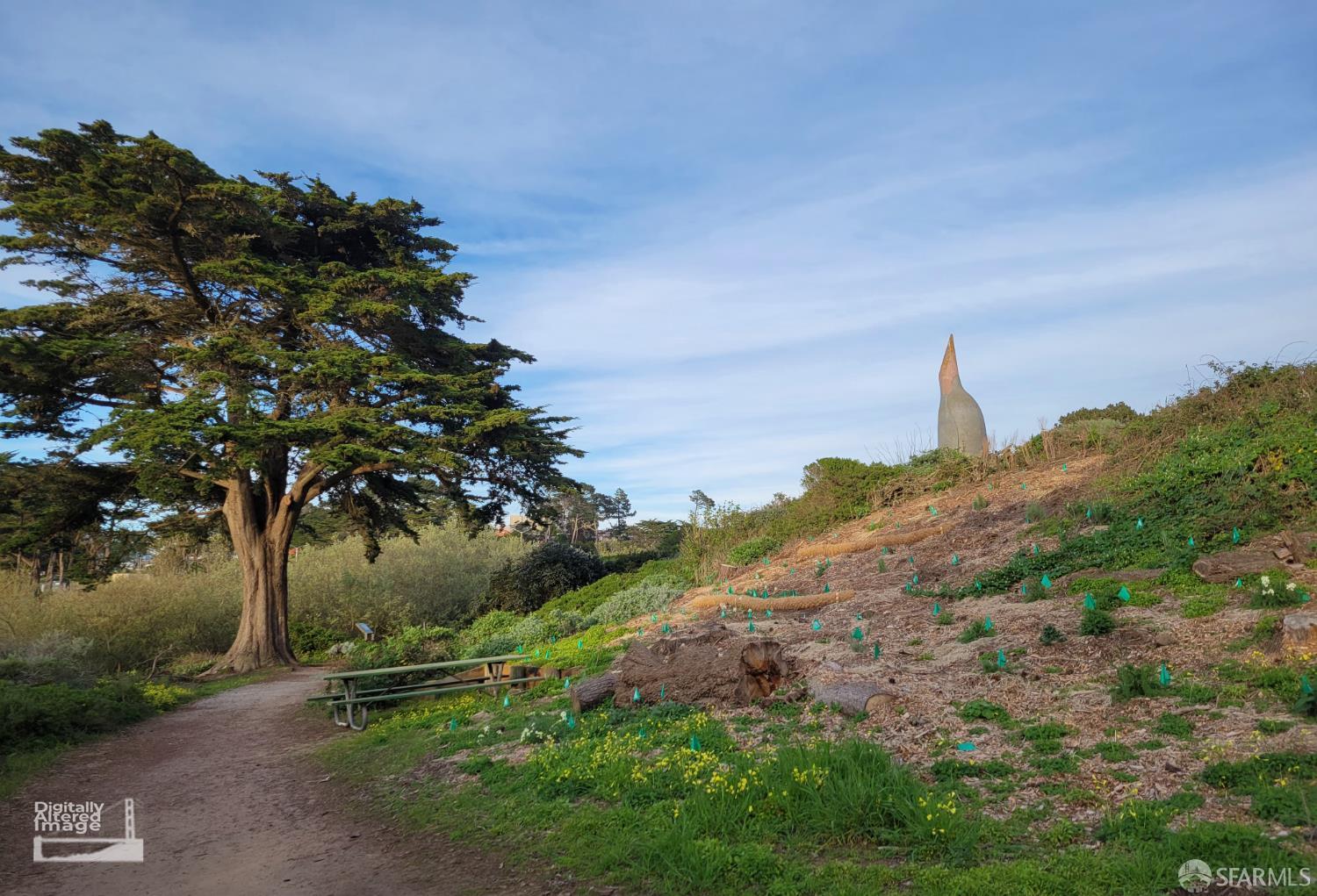 Photo #50: 426107196 Listing: Photo #50