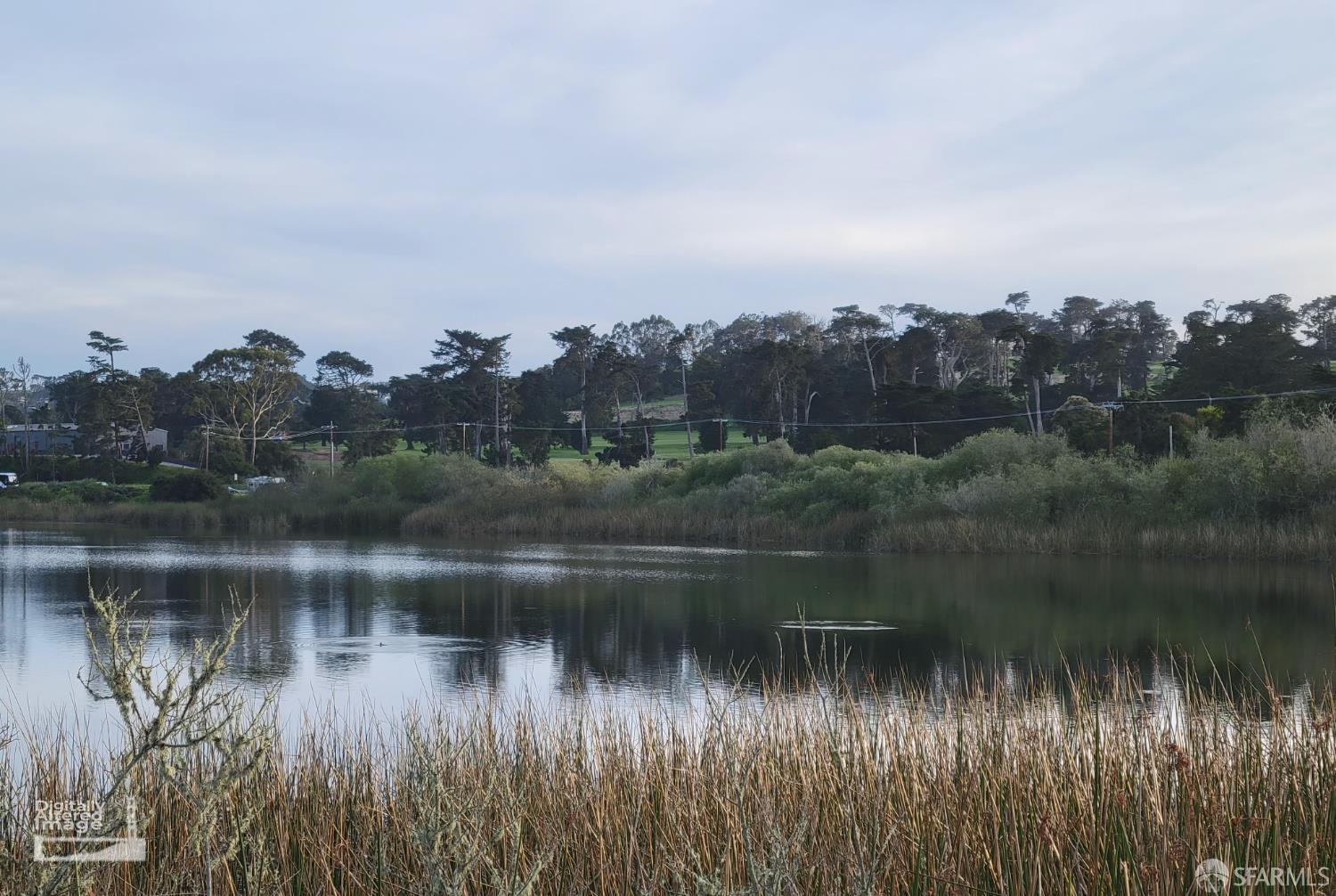 Photo #53: 426107196 Listing: Photo #53