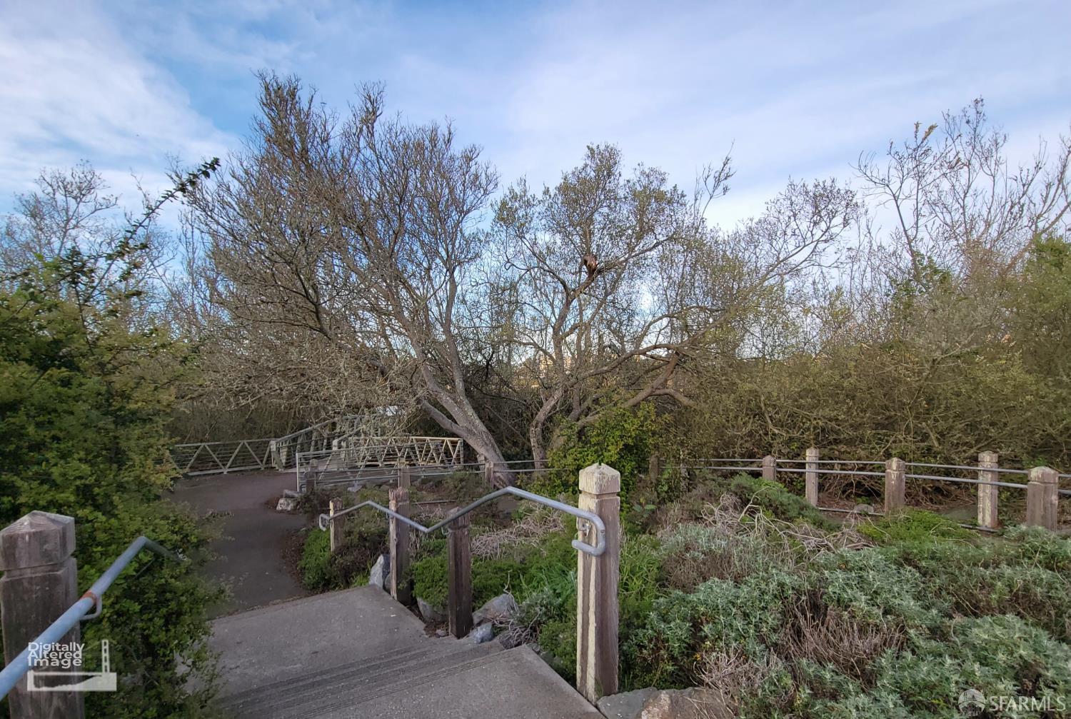 Photo #56: 426107196 Listing: Photo #56