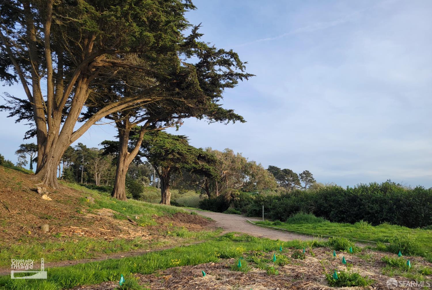 Photo #51: 426107196 Listing: Photo #51