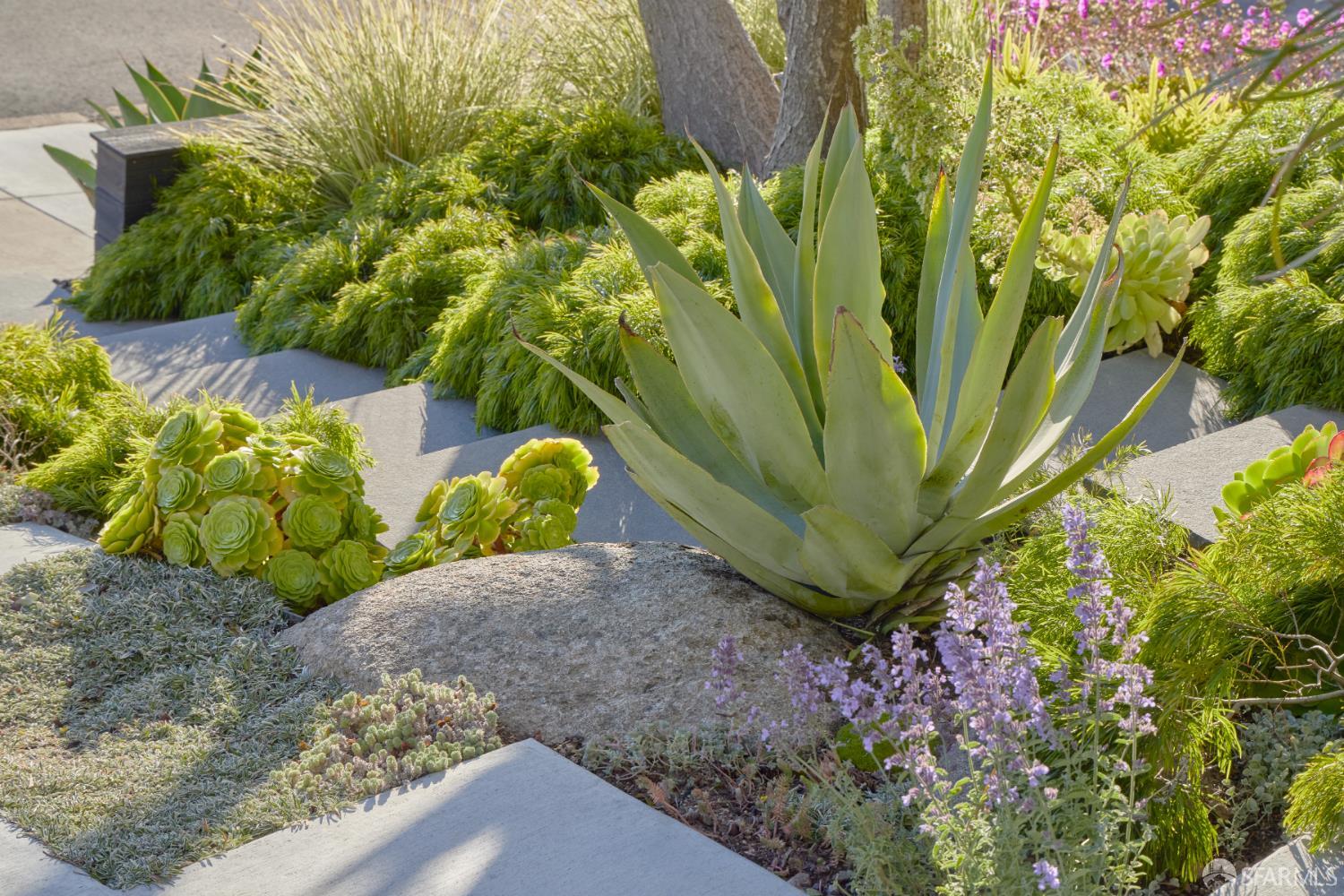 Detail Gallery Image 30 of 32 For 169 Amber Dr, San Francisco,  CA 94131 - 4 Beds | 3/1 Baths