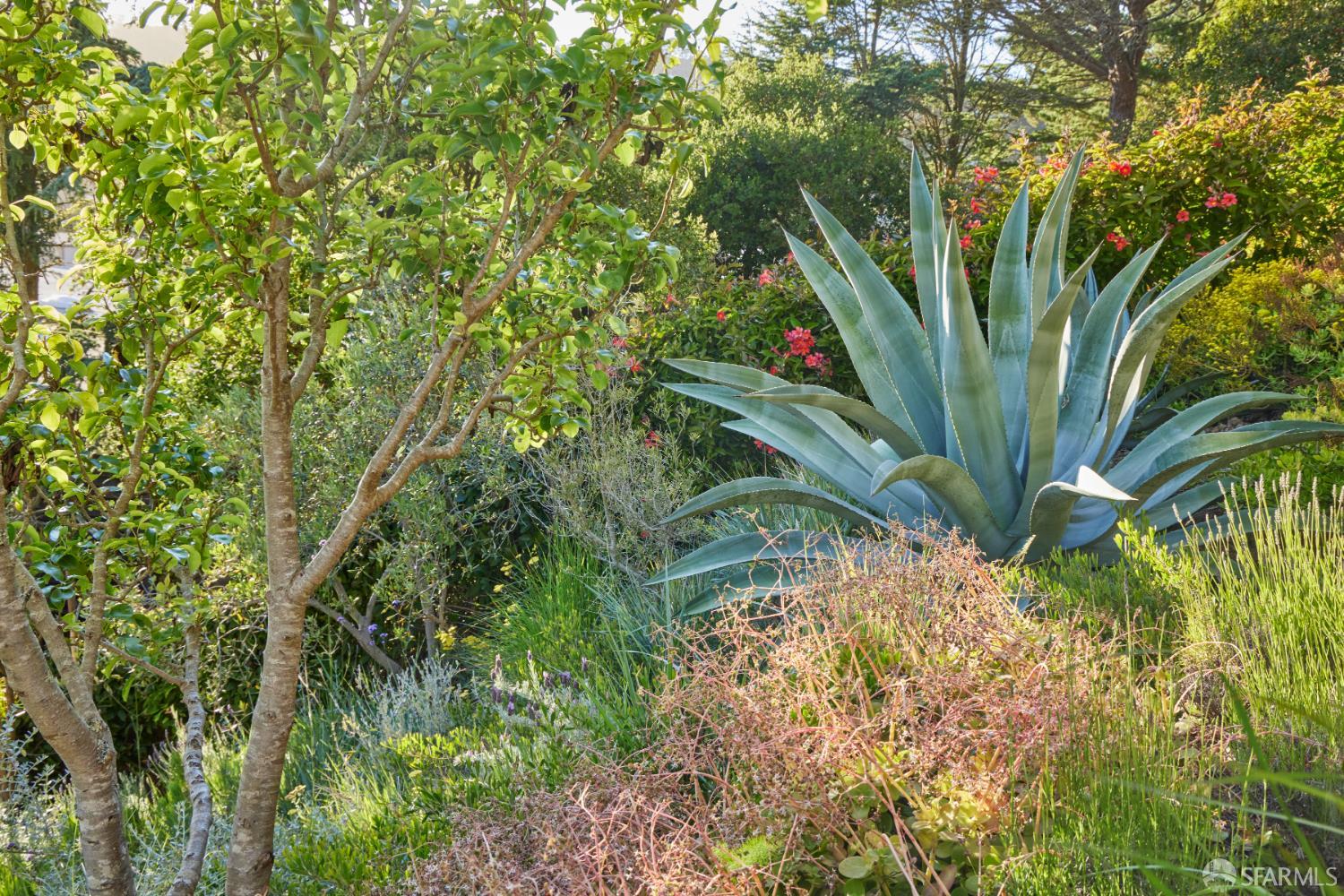 Detail Gallery Image 20 of 32 For 169 Amber Dr, San Francisco,  CA 94131 - 4 Beds | 3/1 Baths