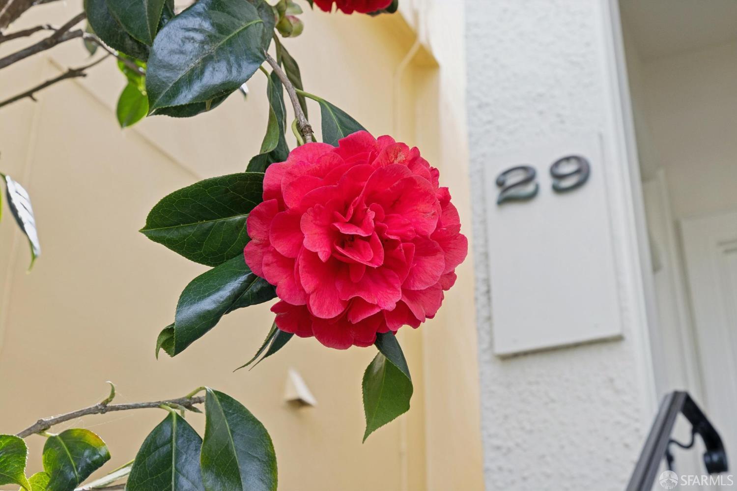 Detail Gallery Image 5 of 62 For 29 West Clay St, San Francisco,  CA 94121 - 5 Beds | 3/1 Baths