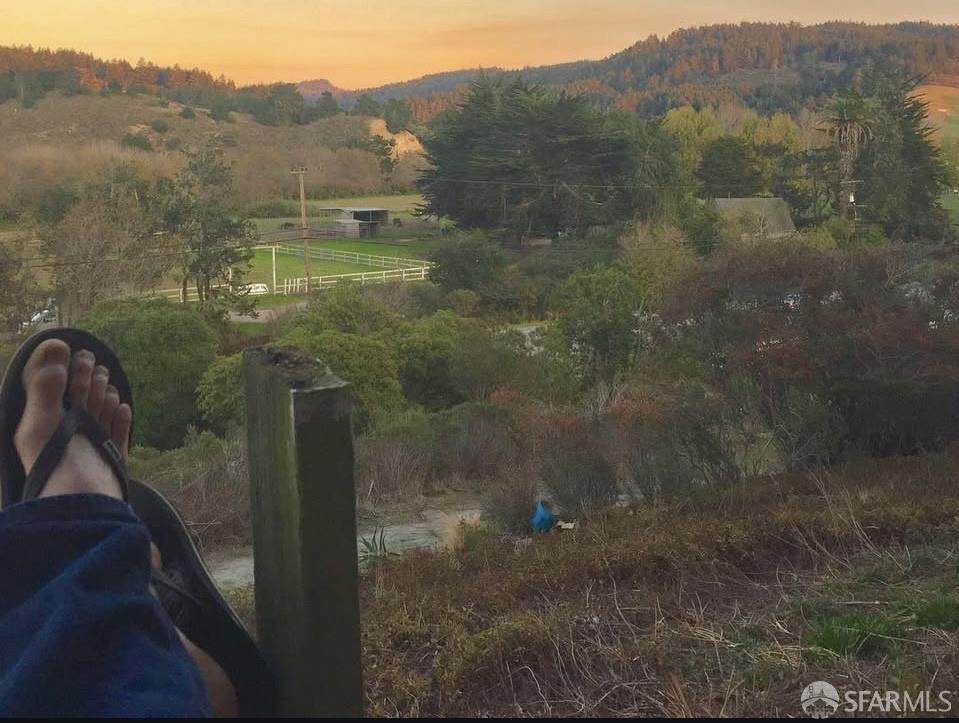 Detail Gallery Image 18 of 19 For 5631 Cloverdale Rd, Pescadero,  CA 94060 - – Beds | – Baths