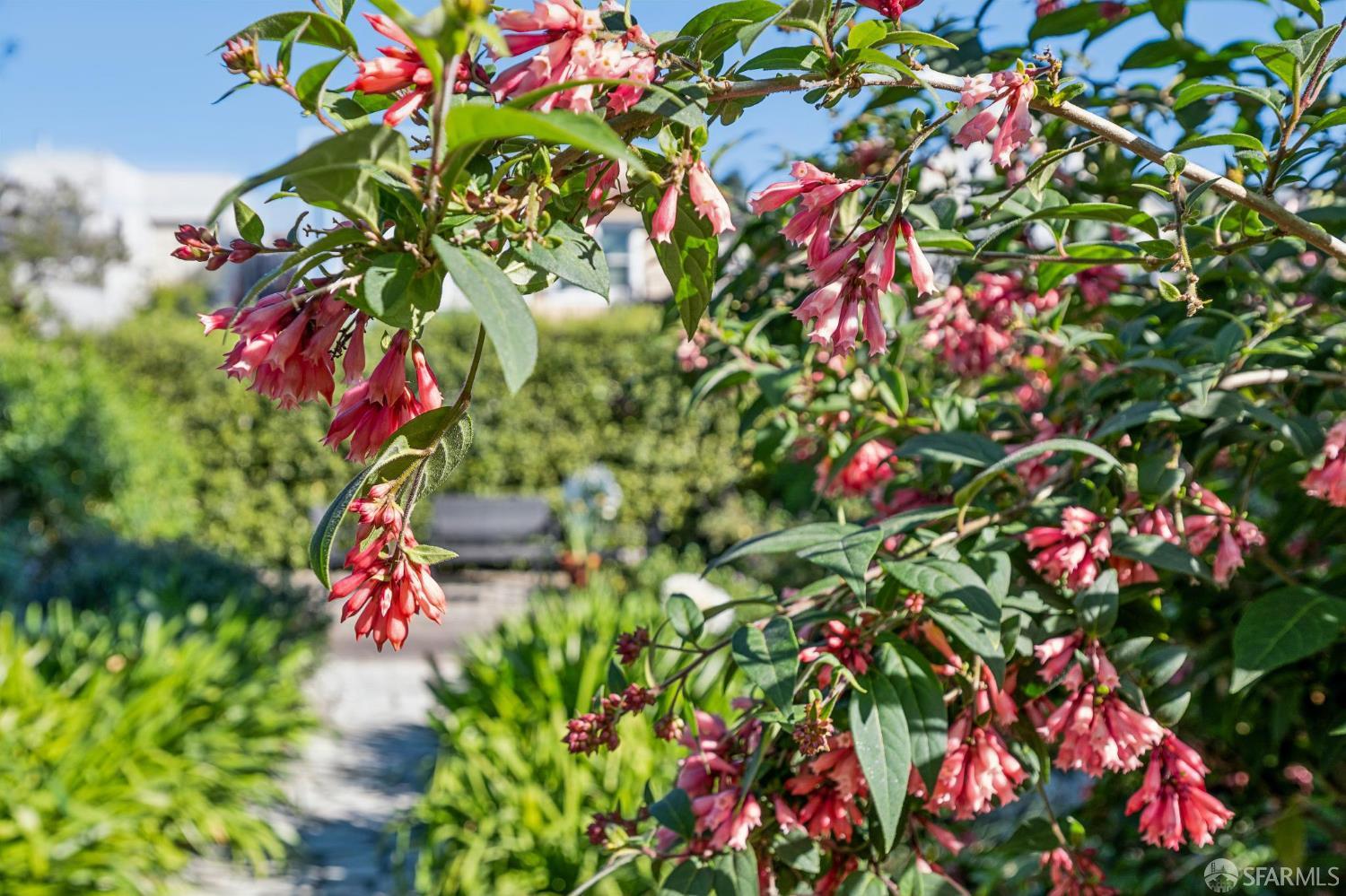Detail Gallery Image 37 of 45 For 170 Staples Ave, San Francisco,  CA 94112 - 2 Beds | 1 Baths