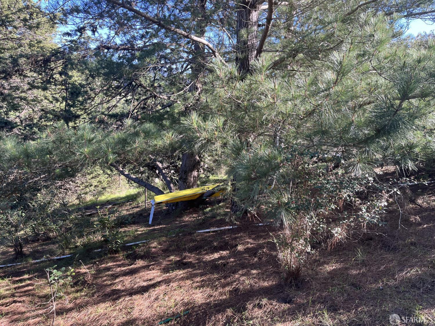 Detail Gallery Image 8 of 19 For 5631 Cloverdale Rd, Pescadero,  CA 94060 - – Beds | – Baths