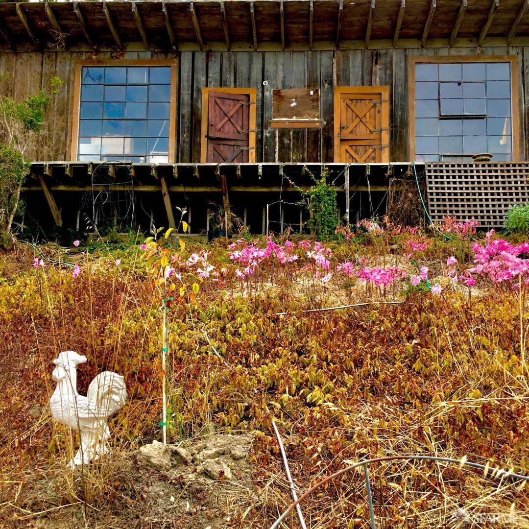 Detail Gallery Image 9 of 19 For 5631 Cloverdale Rd, Pescadero,  CA 94060 - – Beds | – Baths