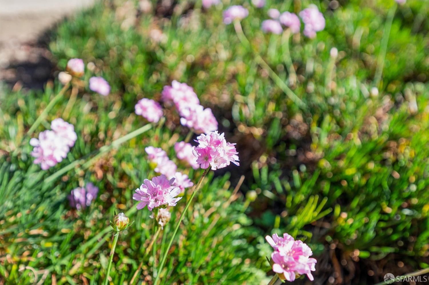Detail Gallery Image 38 of 45 For 170 Staples Ave, San Francisco,  CA 94112 - 2 Beds | 1 Baths