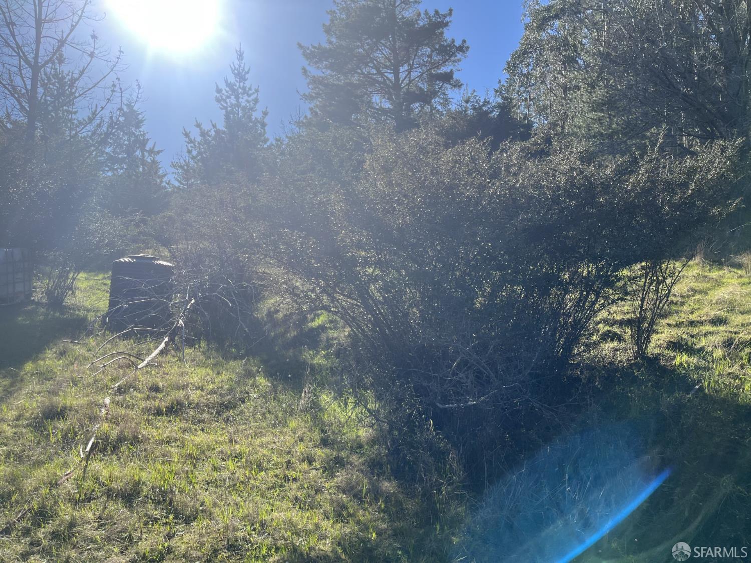 Detail Gallery Image 6 of 19 For 5631 Cloverdale Rd, Pescadero,  CA 94060 - – Beds | – Baths