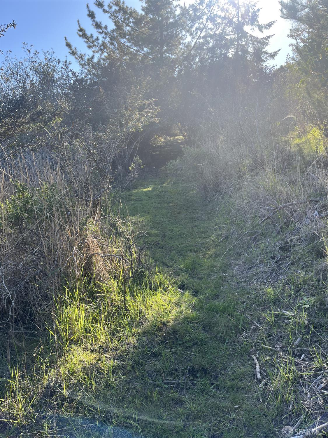 Detail Gallery Image 5 of 19 For 5631 Cloverdale Rd, Pescadero,  CA 94060 - – Beds | – Baths