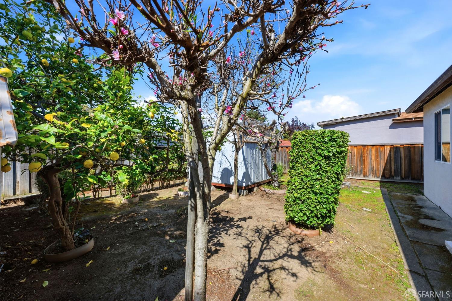 Detail Gallery Image 40 of 55 For 219 Verbena Dr, East Palo Alto,  CA 94303 - 3 Beds | 1 Baths
