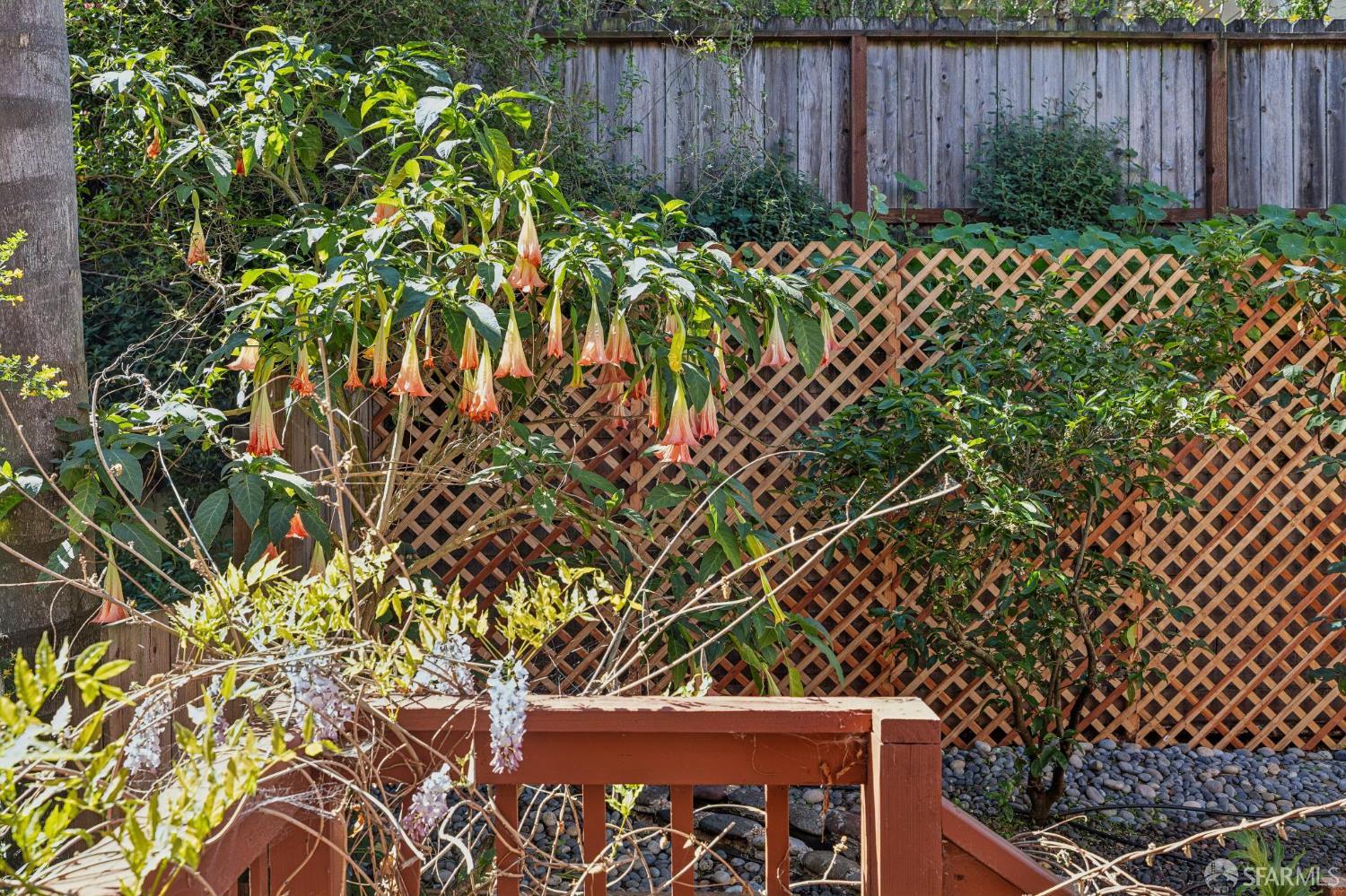 Detail Gallery Image 35 of 82 For 532 Franconia St, San Francisco,  CA 94110 - 5 Beds | 4 Baths