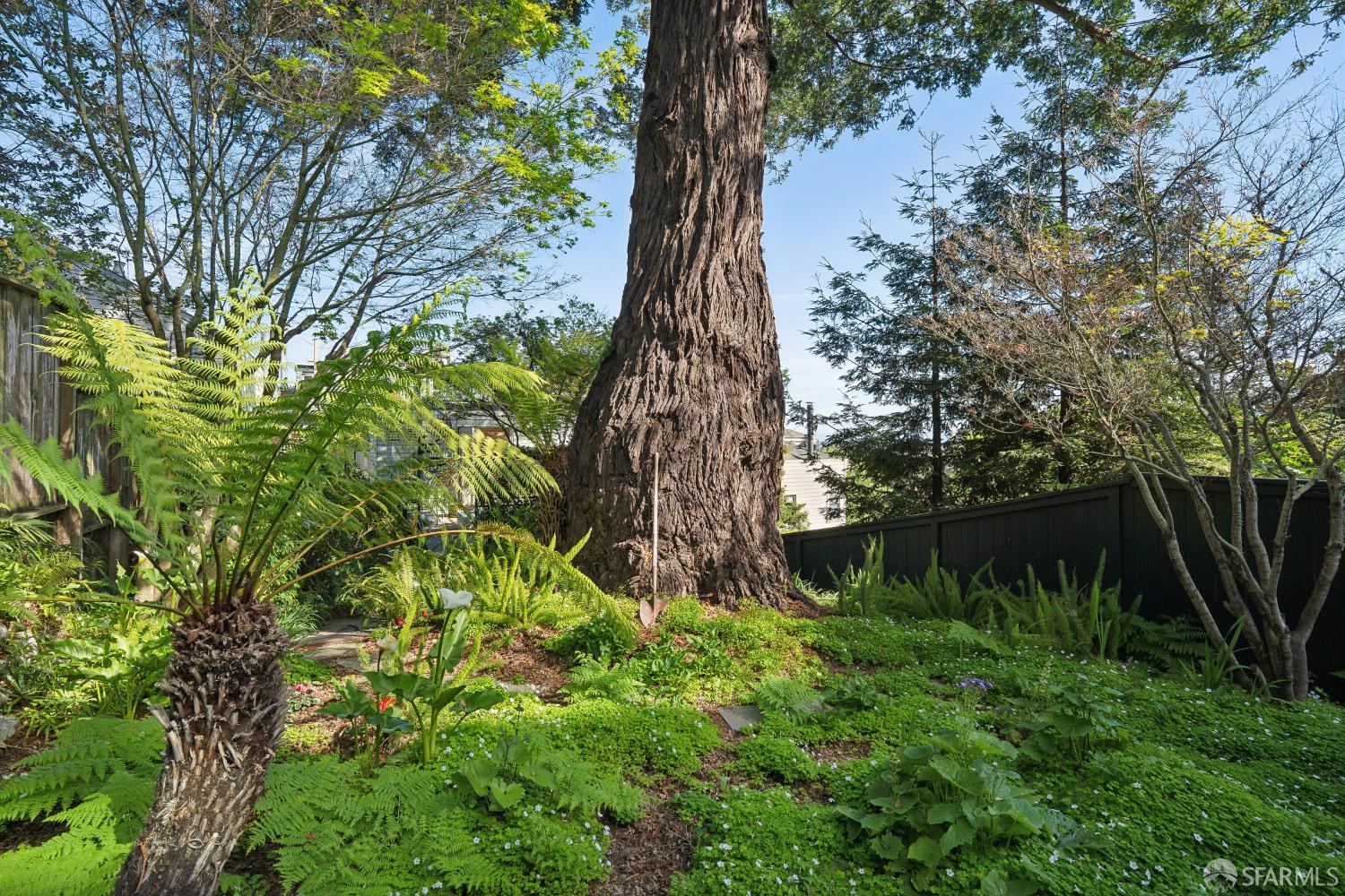 Detail Gallery Image 54 of 78 For 2535 Vallejo St, San Francisco,  CA 94123 - 3 Beds | 3/2 Baths