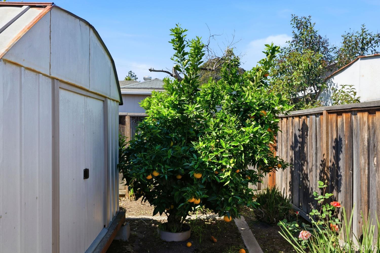 Detail Gallery Image 44 of 55 For 219 Verbena Dr, East Palo Alto,  CA 94303 - 3 Beds | 1 Baths