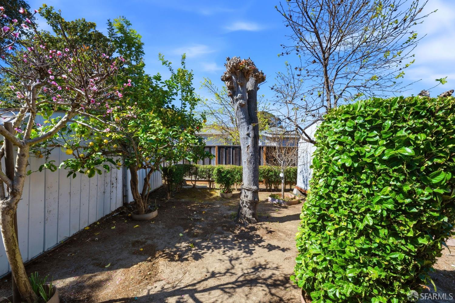 Detail Gallery Image 41 of 55 For 219 Verbena Dr, East Palo Alto,  CA 94303 - 3 Beds | 1 Baths