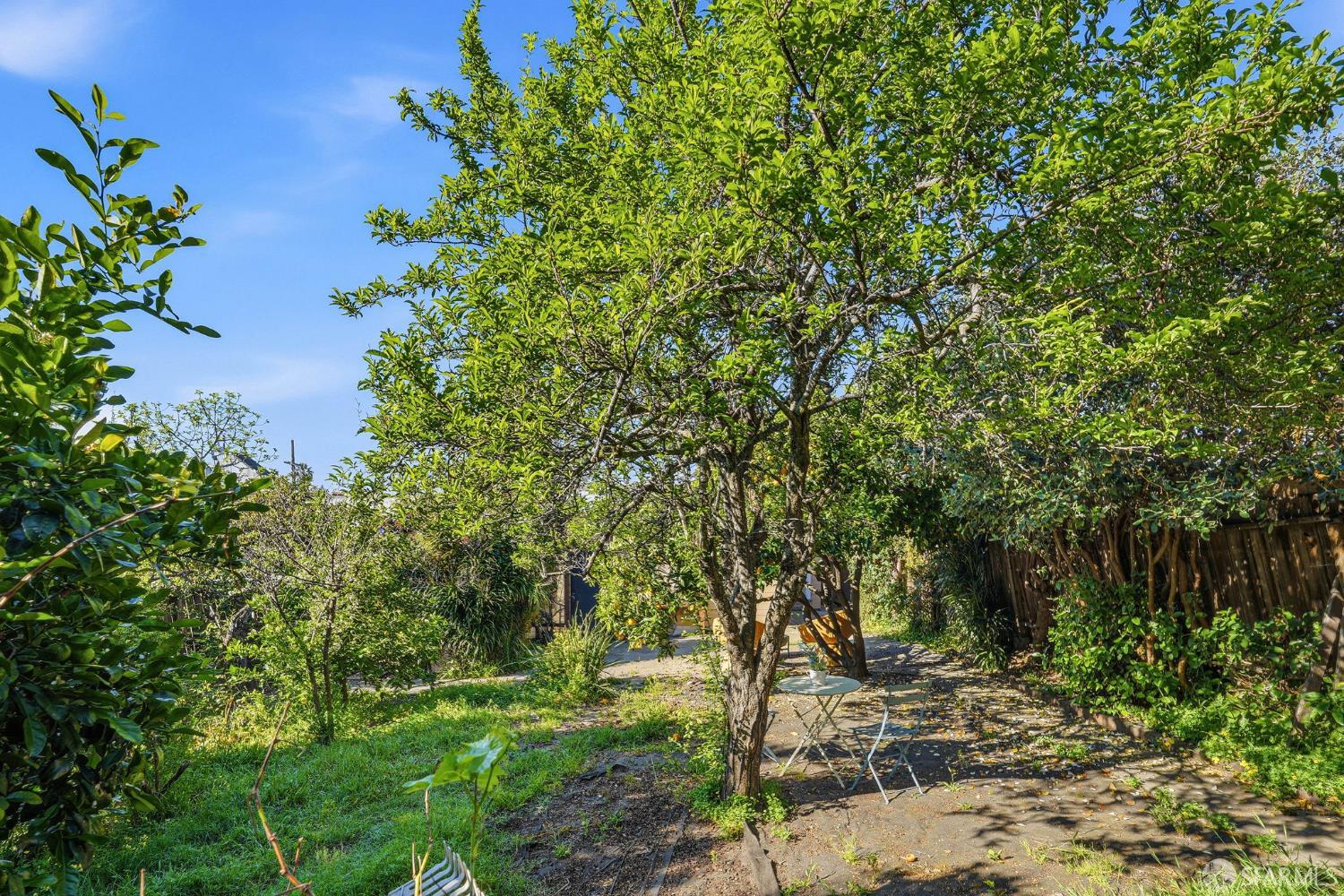 Detail Gallery Image 31 of 40 For 726 E 23rd St, Oakland,  CA 94606 - 3 Beds | 2/1 Baths