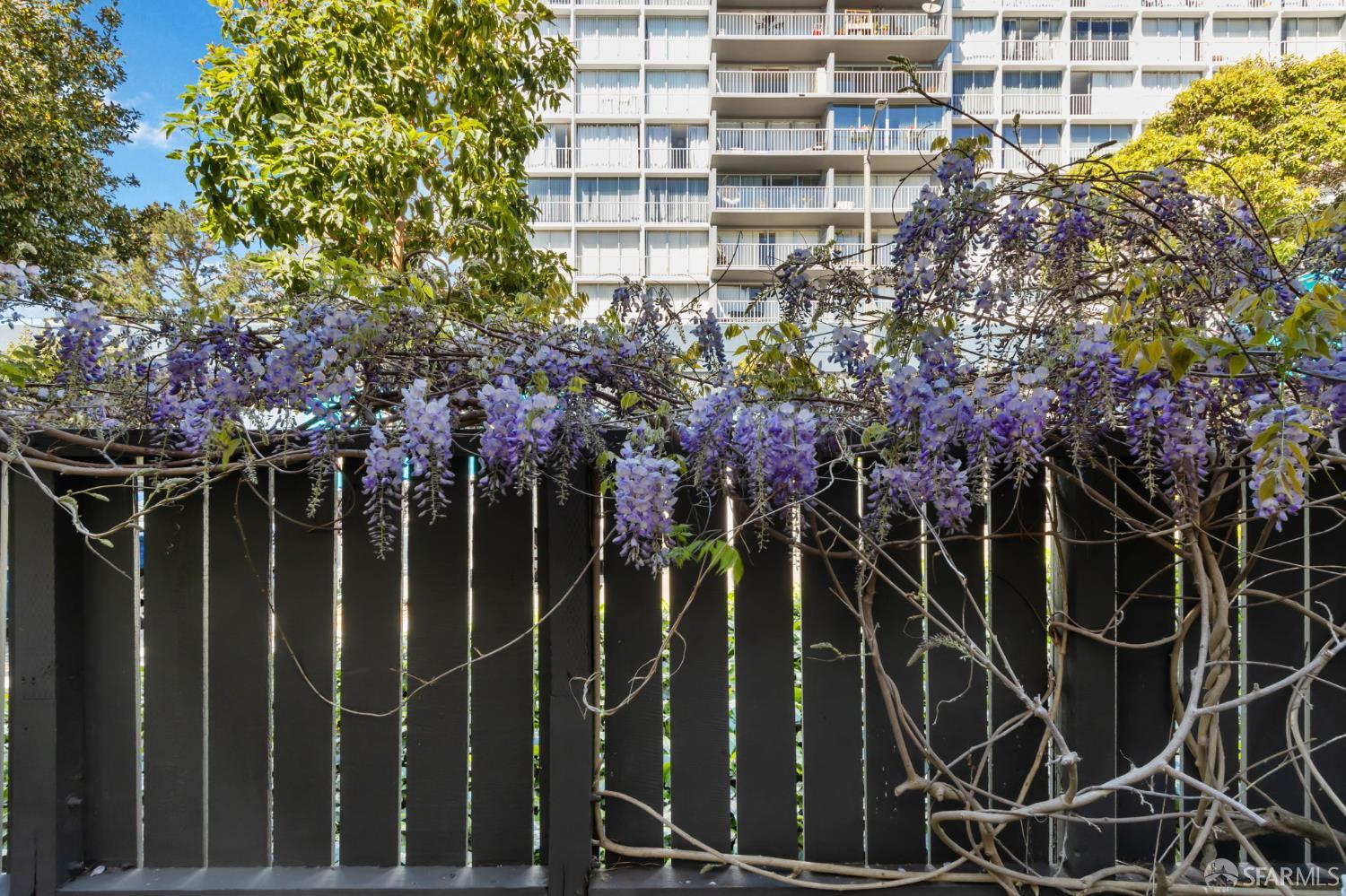 Photo #38: 426107244 Listing: Photo #38