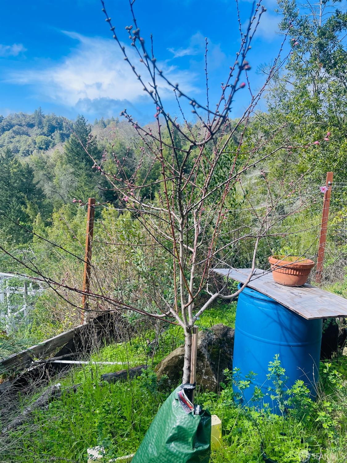 Detail Gallery Image 22 of 29 For 0 Sunset View Rd, Los Gatos,  CA 95033 - – Beds | – Baths