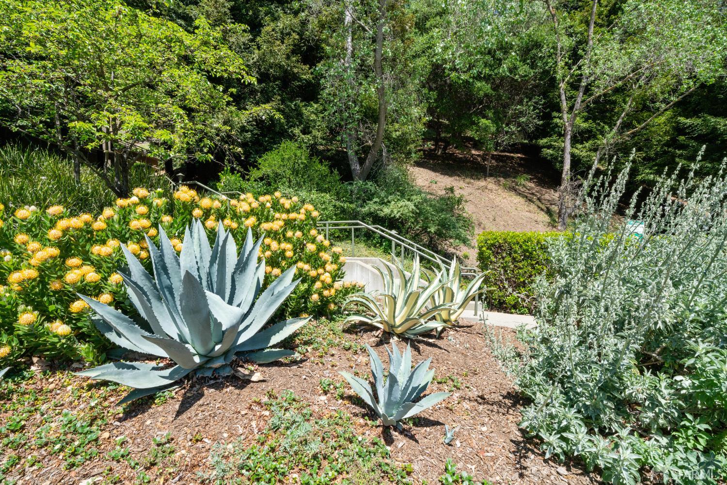 Detail Gallery Image 10 of 11 For 220 Caldecott Ln #311,  Oakland,  CA 94618 - 2 Beds | 2 Baths