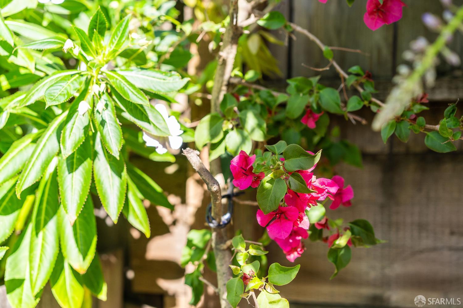 Detail Gallery Image 52 of 61 For 631 San Bruno Ave, San Francisco,  CA 94107 - 2 Beds | 1 Baths