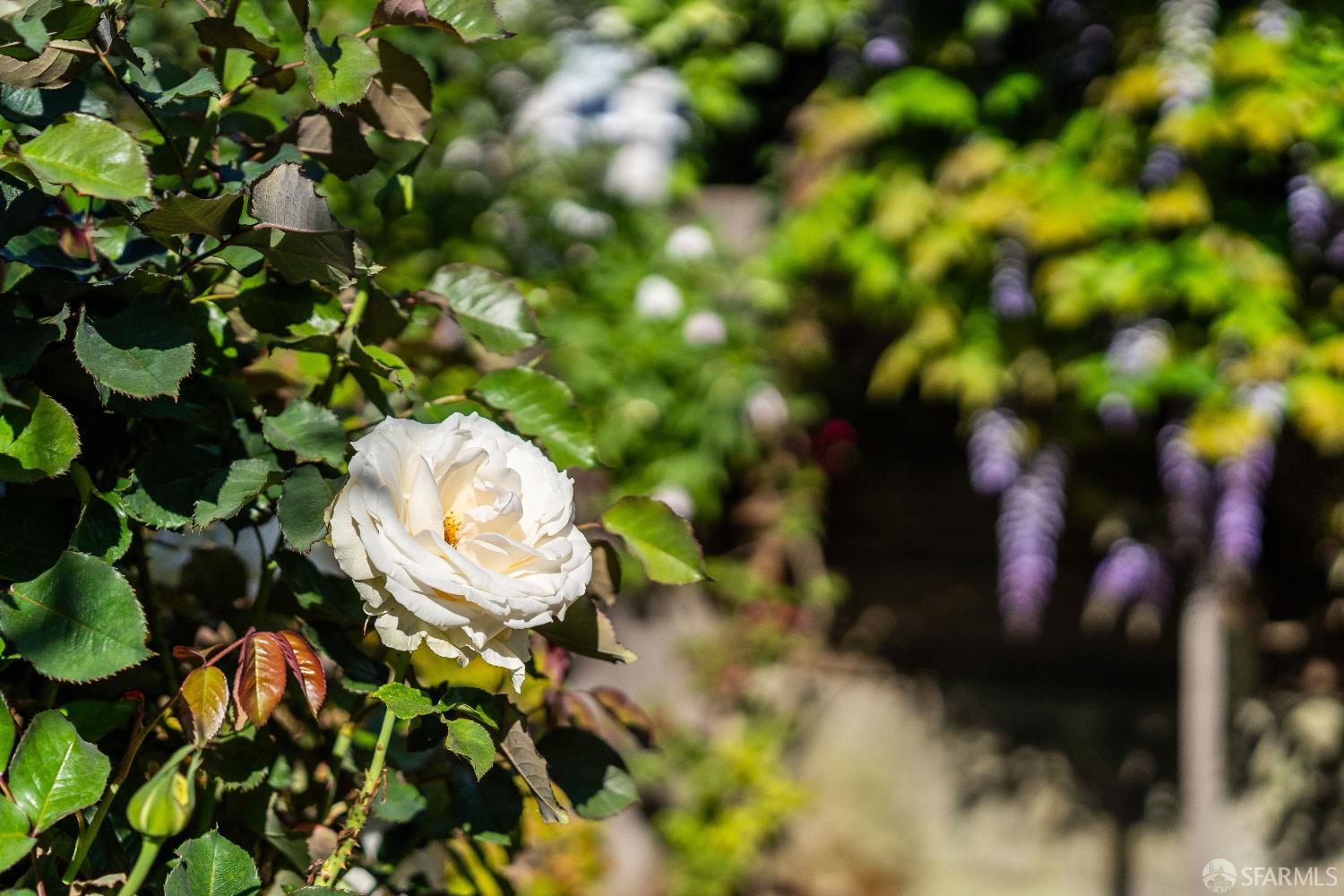 Detail Gallery Image 53 of 61 For 631 San Bruno Ave, San Francisco,  CA 94107 - 2 Beds | 1 Baths