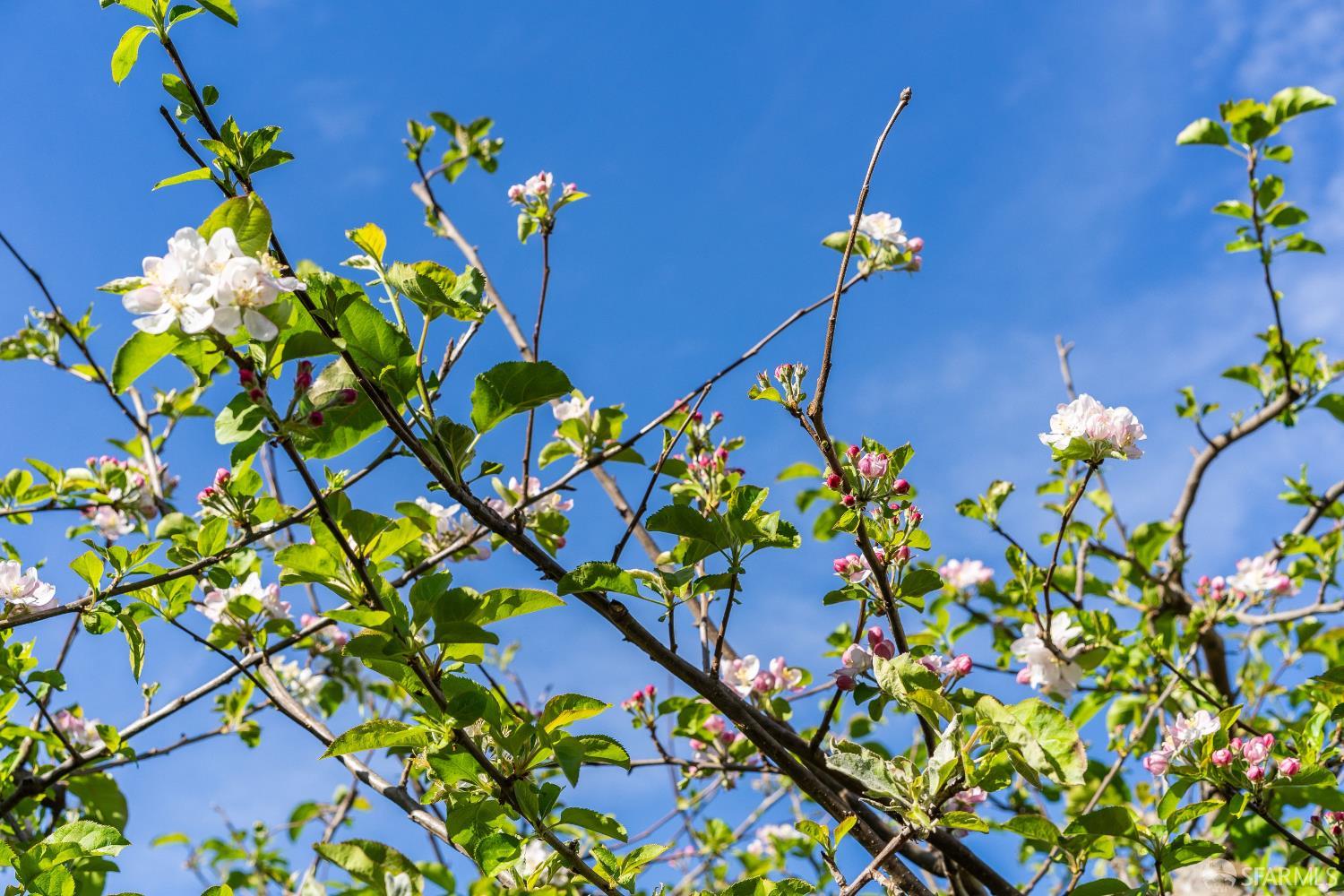 Detail Gallery Image 55 of 61 For 631 San Bruno Ave, San Francisco,  CA 94107 - 2 Beds | 1 Baths
