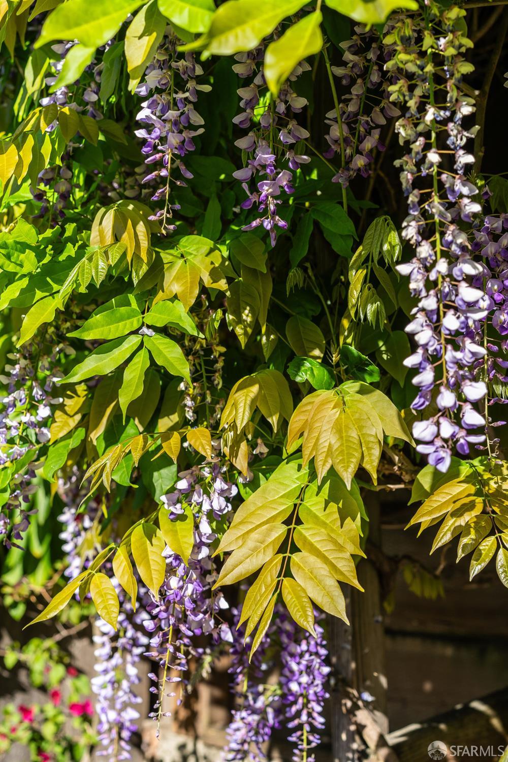 Detail Gallery Image 54 of 61 For 631 San Bruno Ave, San Francisco,  CA 94107 - 2 Beds | 1 Baths