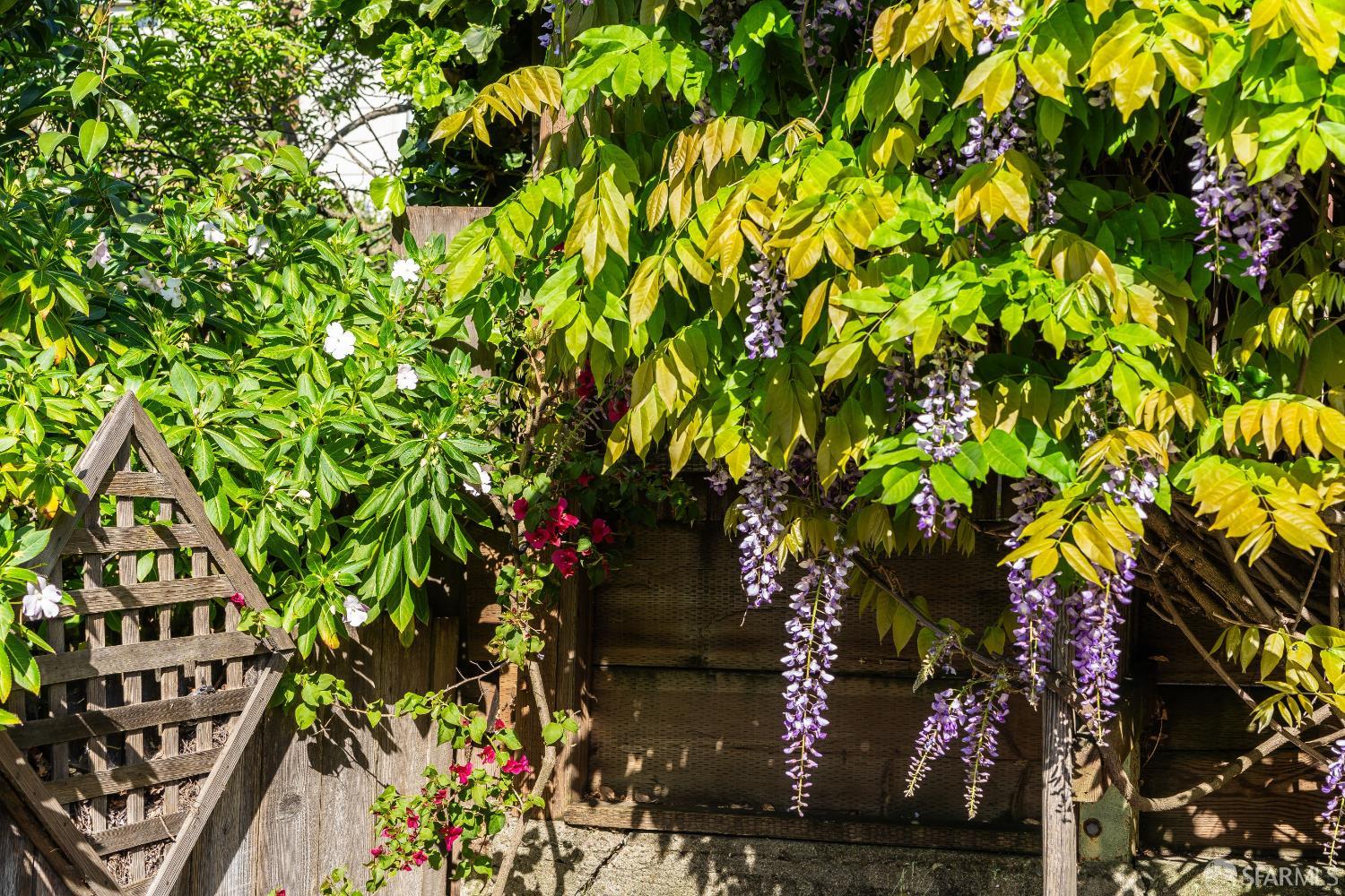 Detail Gallery Image 51 of 61 For 631 San Bruno Ave, San Francisco,  CA 94107 - 2 Beds | 1 Baths