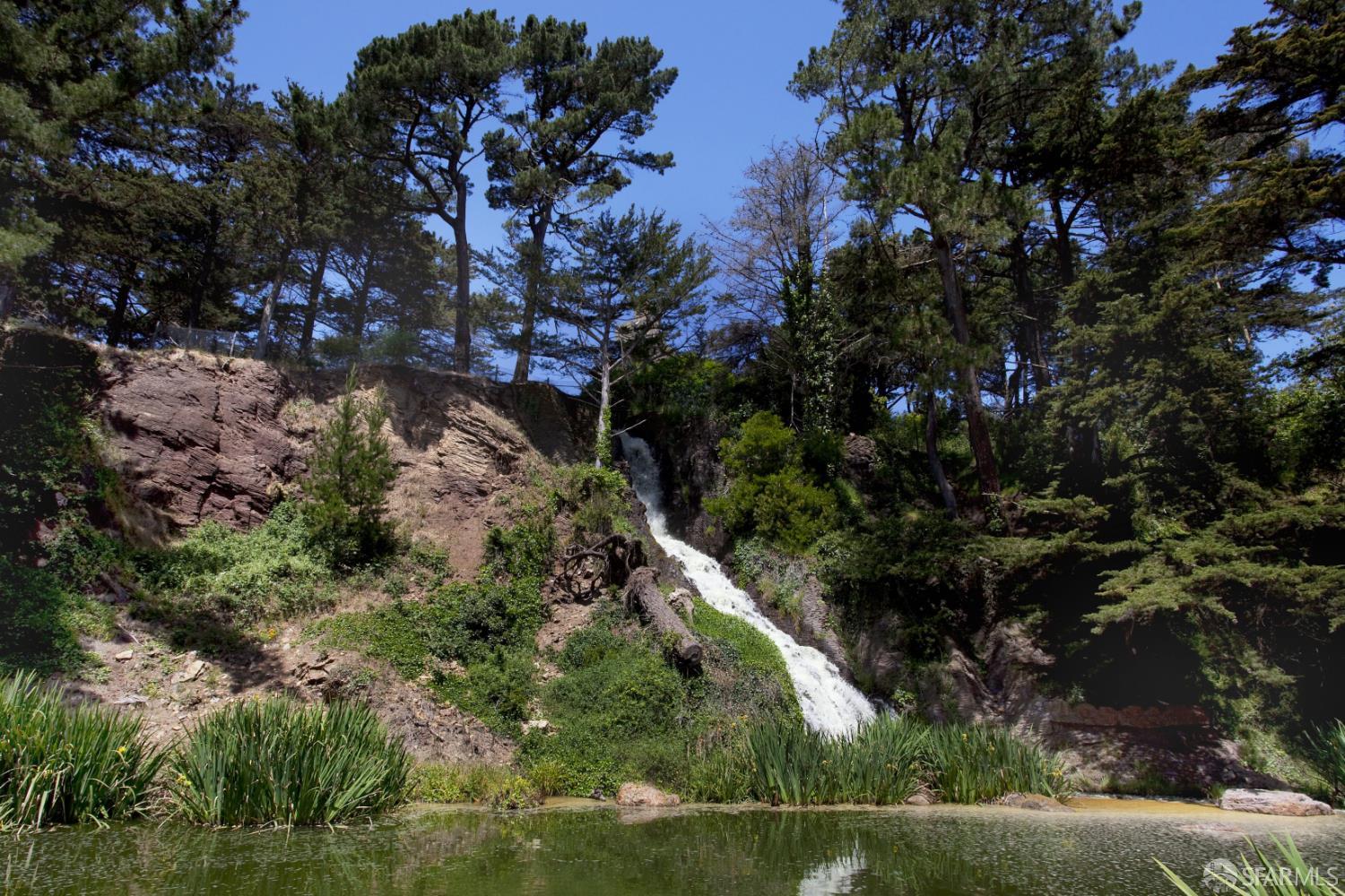 Photo #69: 426112845 Listing: Photo #69