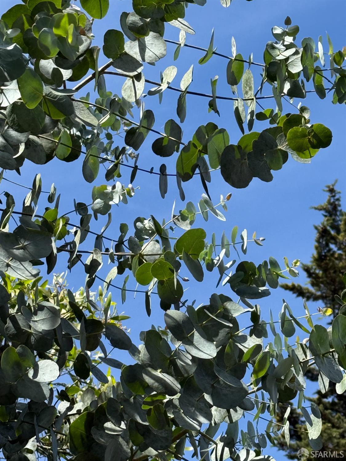 Detail Gallery Image 61 of 73 For 1819 8th Ave, San Francisco,  CA 94109 - 3 Beds | 2 Baths