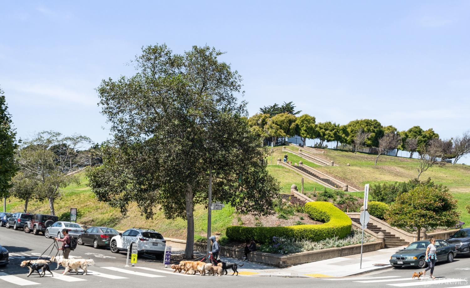 Photo #22: 426113213 Listing: Photo #22