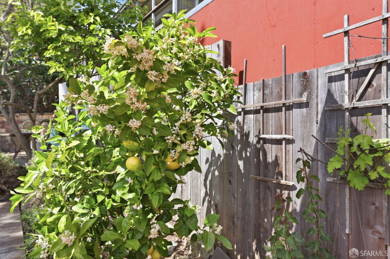 Detail Gallery Image 20 of 29 For 527 Congo St, San Francisco,  CA 94131 - 2 Beds | 1 Baths