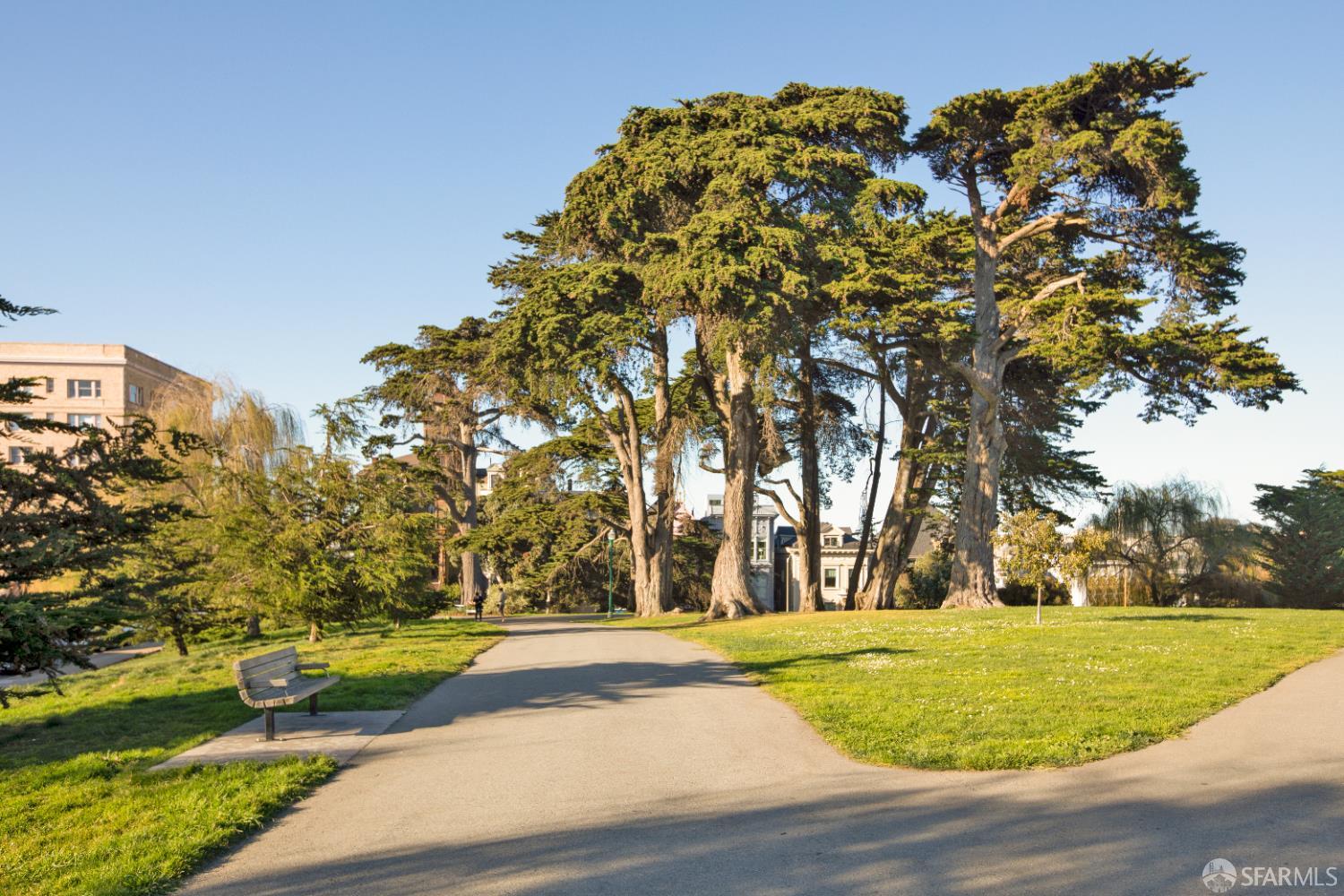 Detail Gallery Image 75 of 82 For 919 Fell St, San Francisco,  CA 94117 - 2 Beds | 1/2 Baths