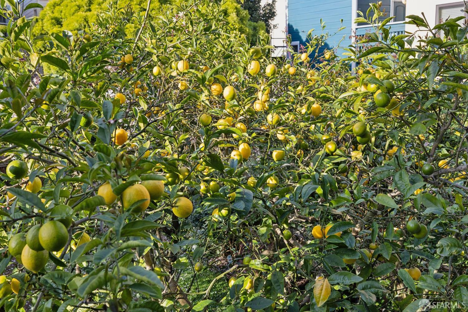 Photo #34: 426116036 Listing: Photo #34