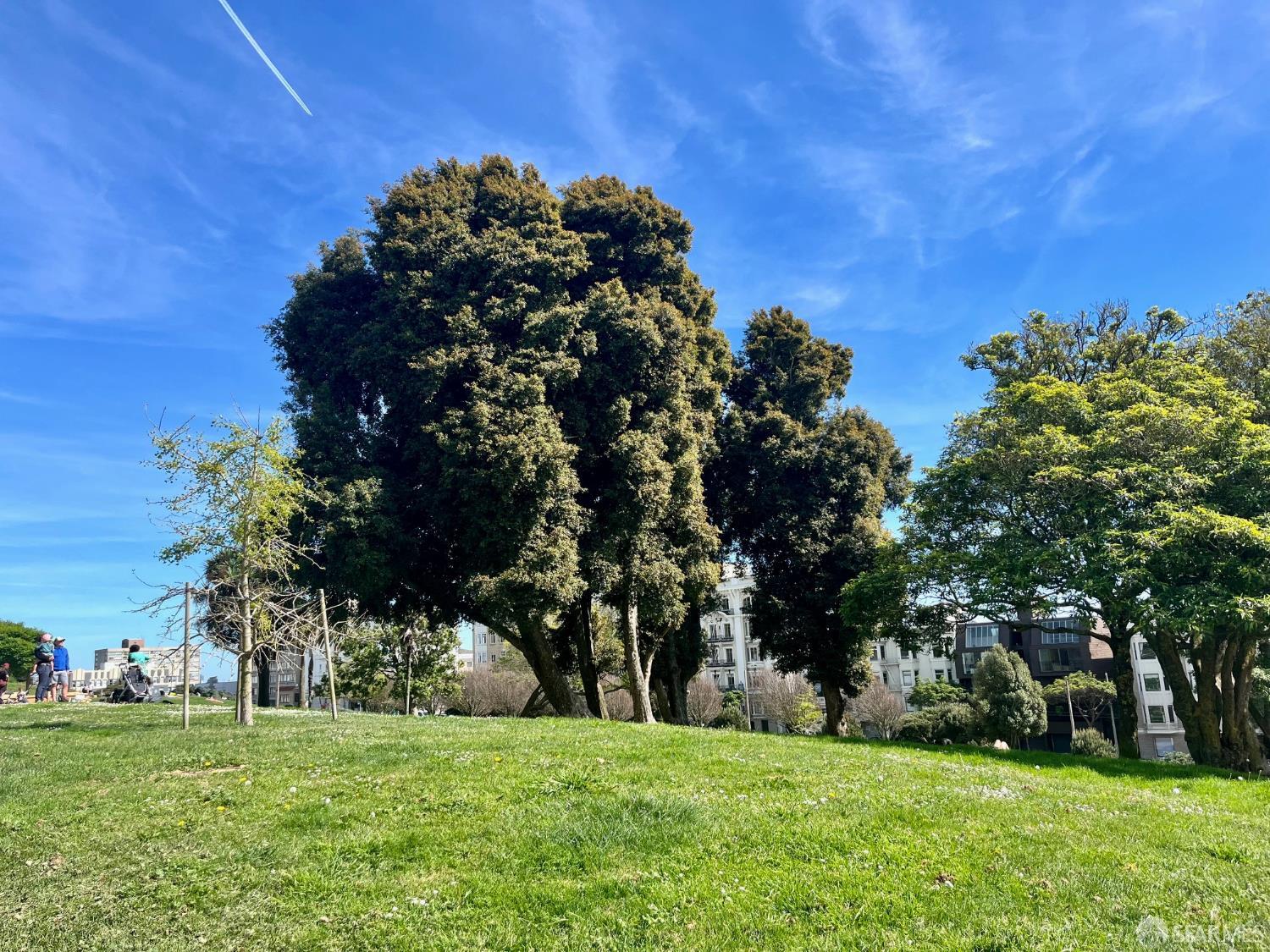 Detail Gallery Image 2 of 2 For 2200 Sacramento St #403,  San Francisco,  CA 94115 - 2 Beds | 2 Baths