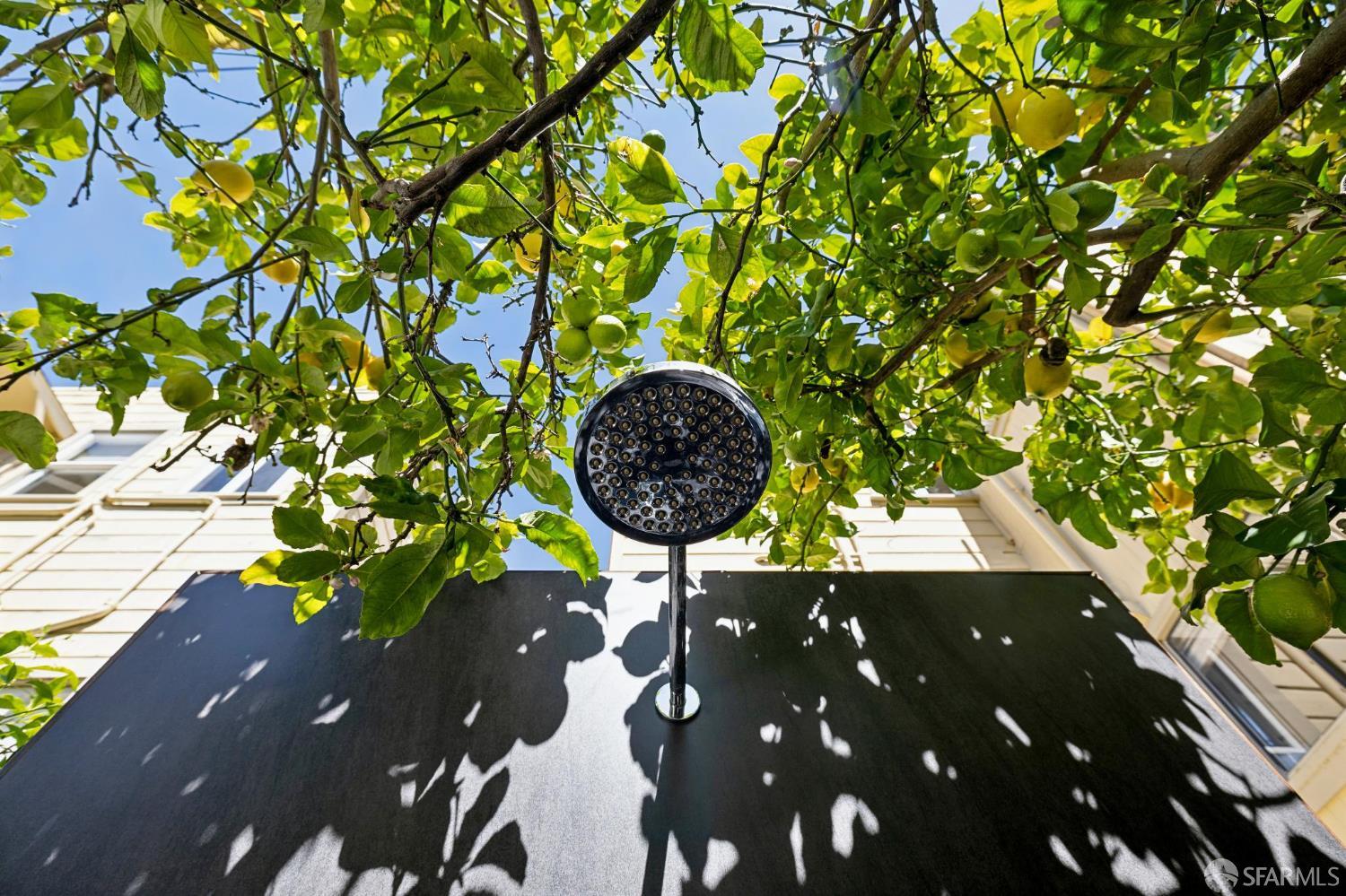 Photo #60: 426116498 Listing: Photo #60