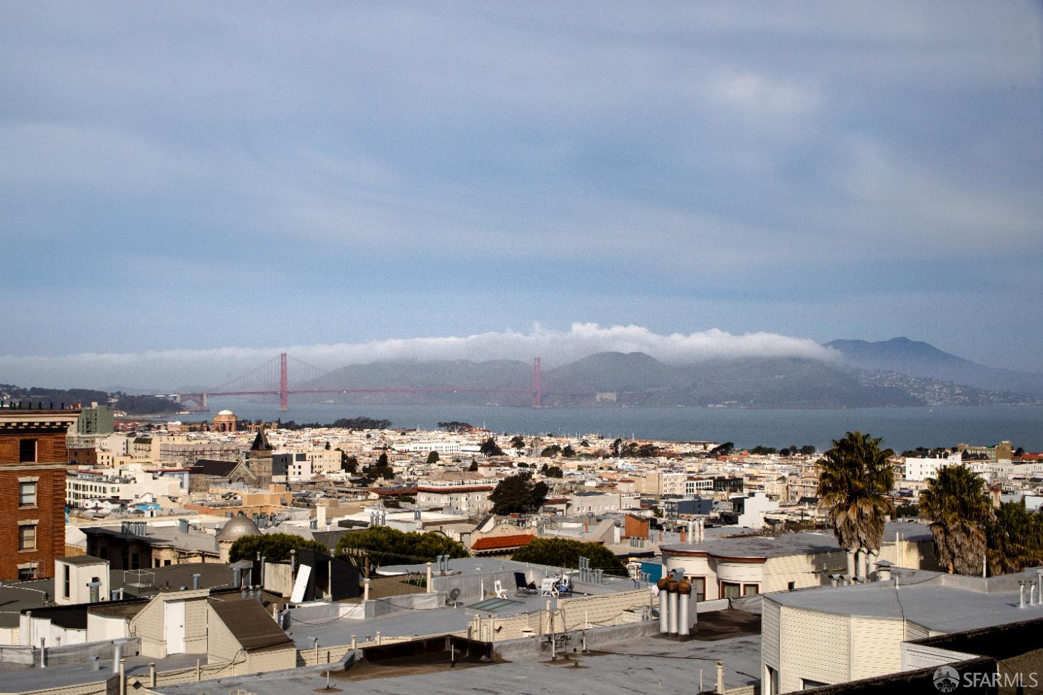 Detail Gallery Image 19 of 30 For 1430 Clay St, San Francisco,  CA 94109 - – Beds | – Baths