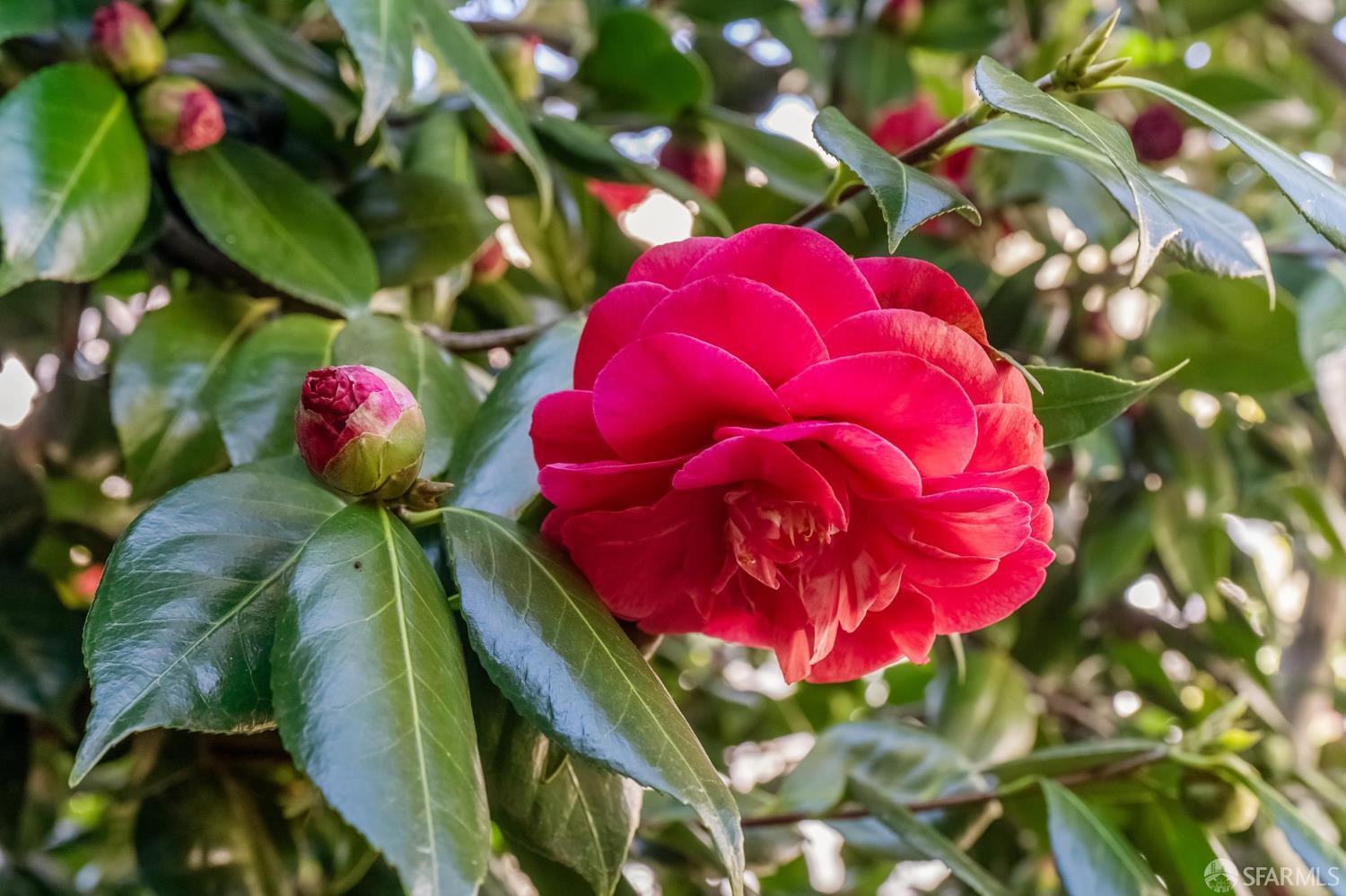 Detail Gallery Image 46 of 54 For 4125 24th St #4,  San Francisco,  CA 94114 - 2 Beds | 1 Baths
