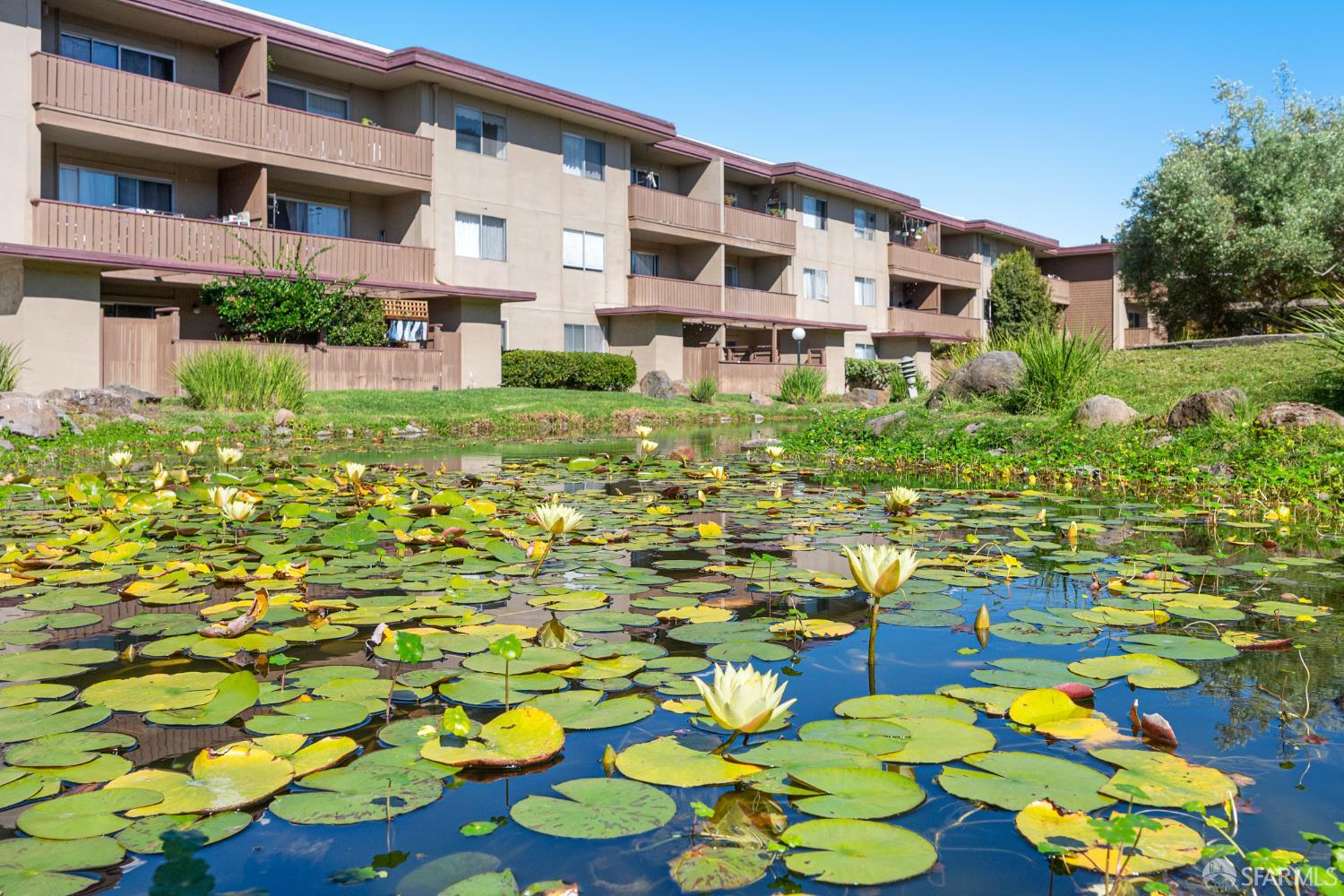 Detail Gallery Image 31 of 56 For 1327 Webster St #B210,  Alameda,  CA 94501 - 2 Beds | 1 Baths